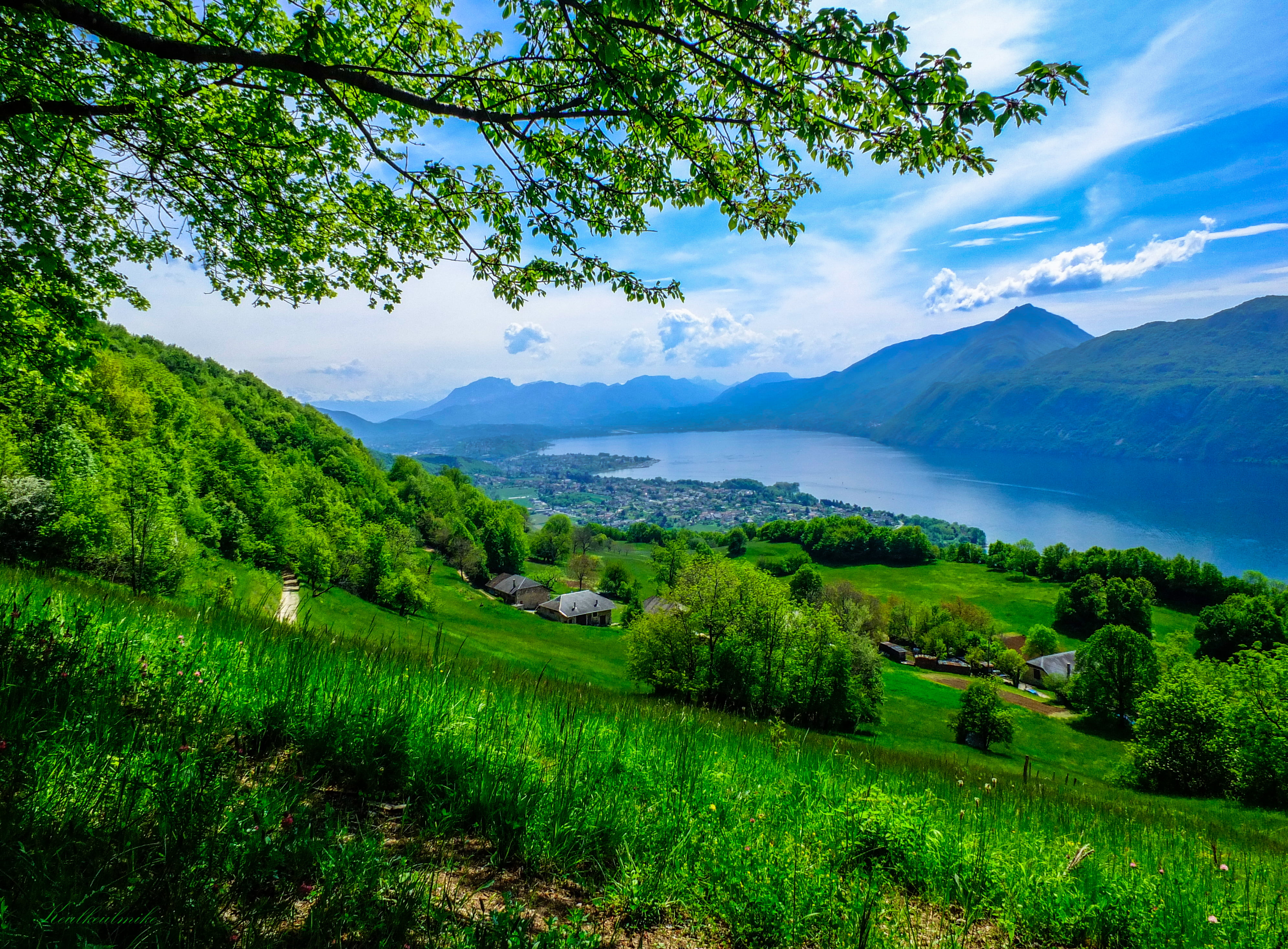 natur, colored, colors, 4K, lake, blue, tree, daytime, scenics, green grass, landscapes, arbre, grass, sky, summer, green, fuji, nature, hill, bourget, HD Wallpaper