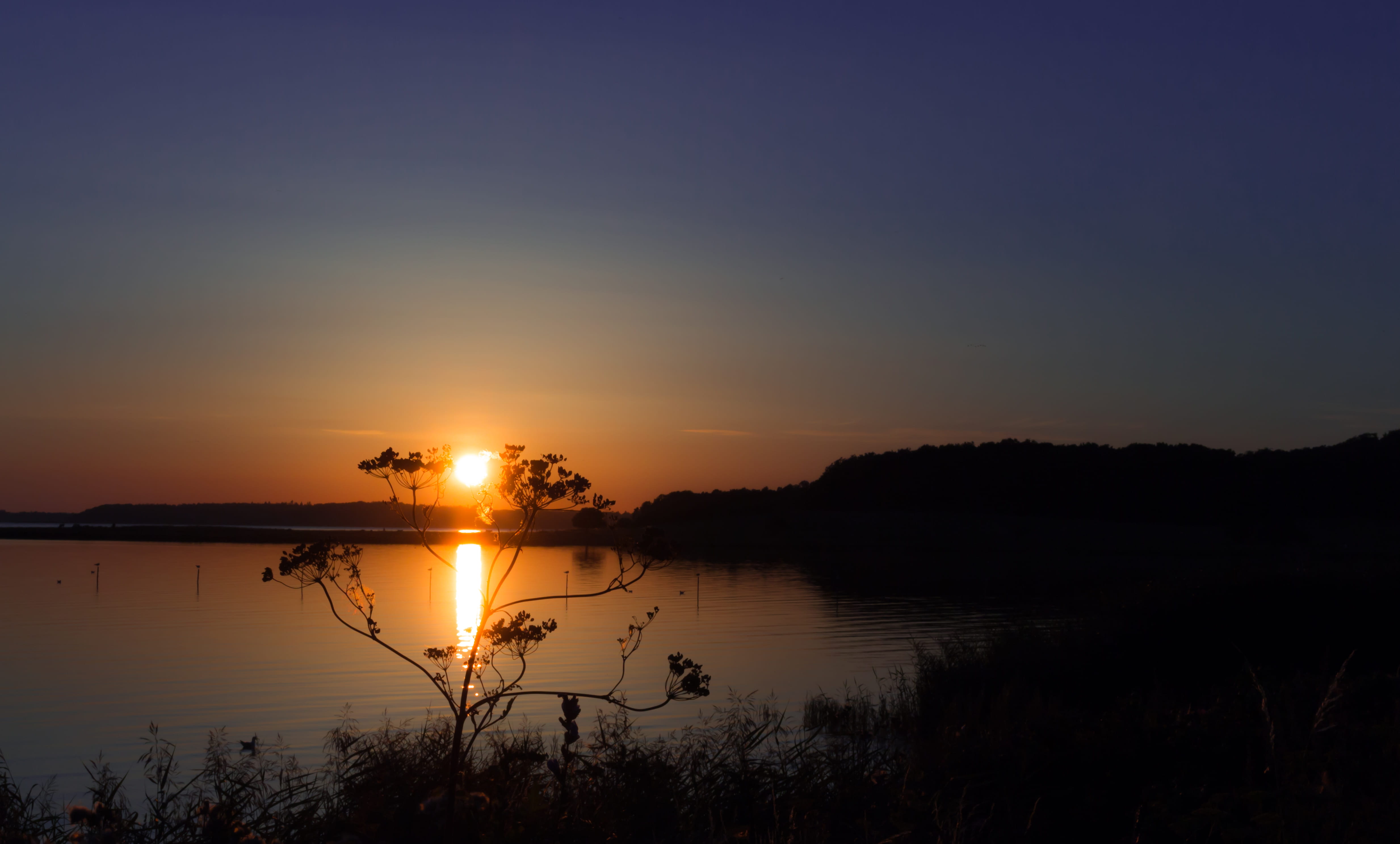 reflection, denmark, no people, lake, sea, tree, adobe lightroom, frederiksborgvej 211, water, canon, plant, tranquility, sky, copy space, non-urban scene, HD Wallpaper