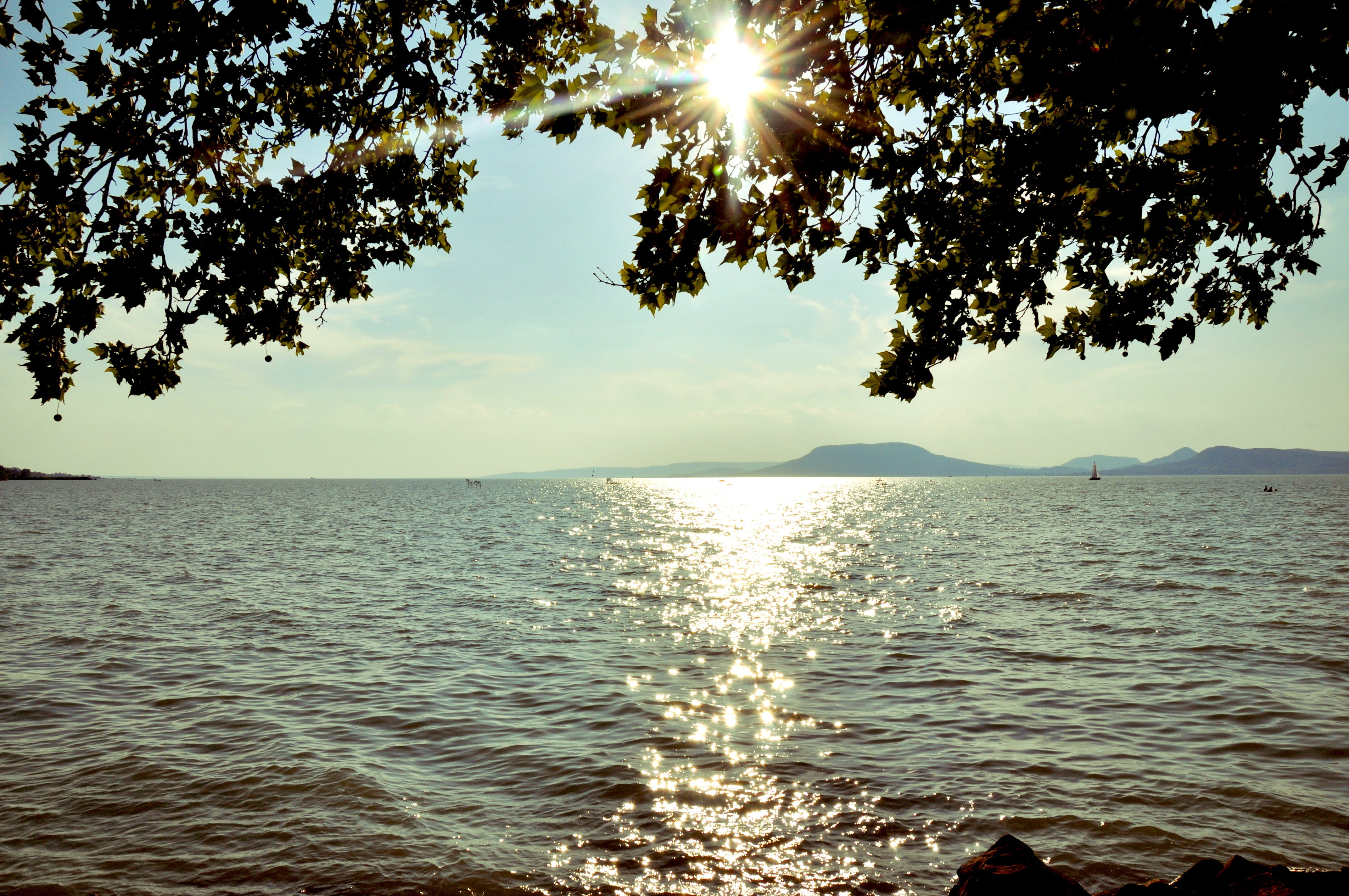 scenics - nature, nature, lens flare, non-urban scene, summer, tree, sea, sunbeam, beauty in nature, horizon over water, sky, sunlight, 4K, landscape, HD Wallpaper