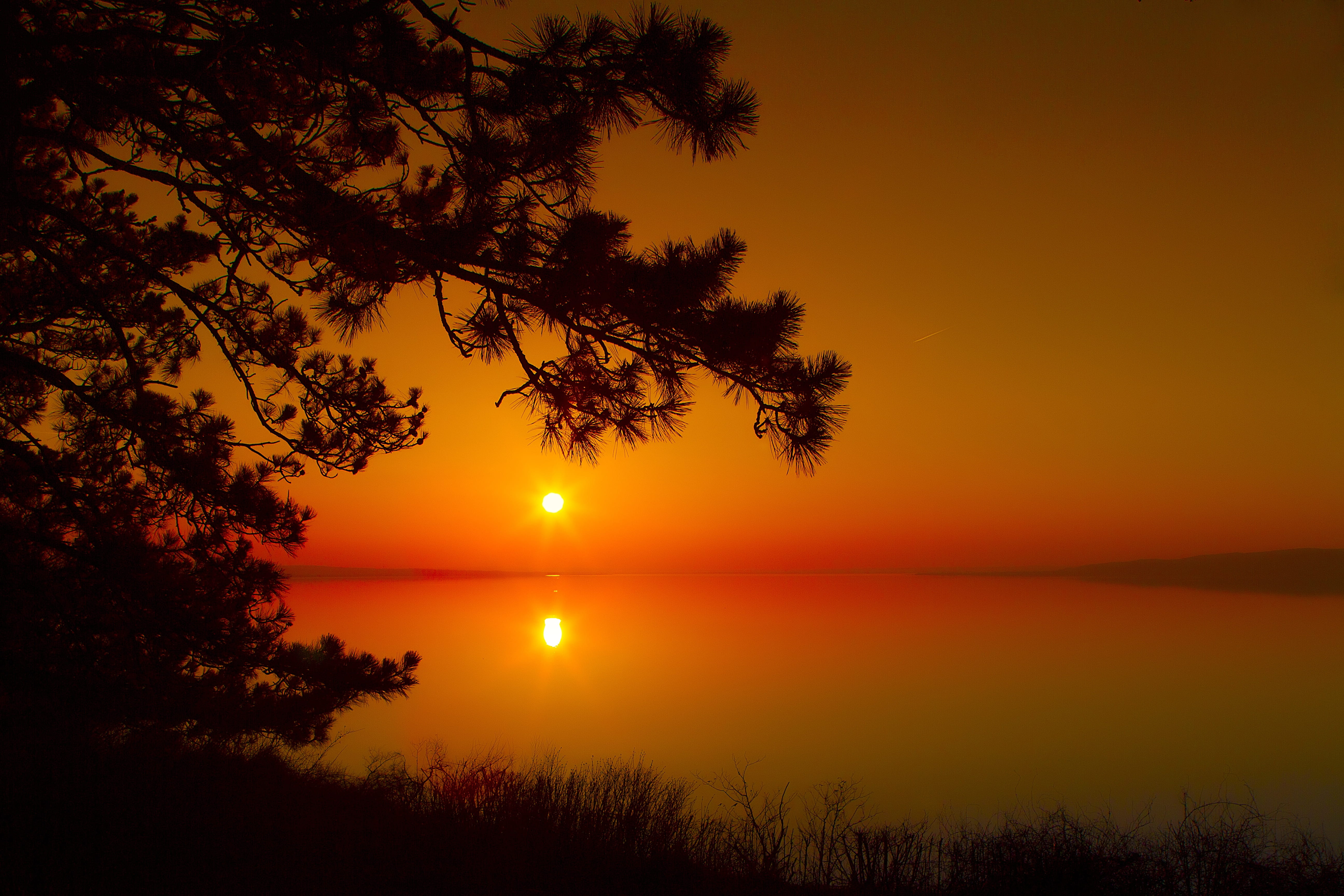 wood, sea, 5K, day s, scenics - nature, orange color, beauty in nature, sun, tree, adult, idyllic, silhouette, nature, outdoors, sunset, city, summer, HD Wallpaper