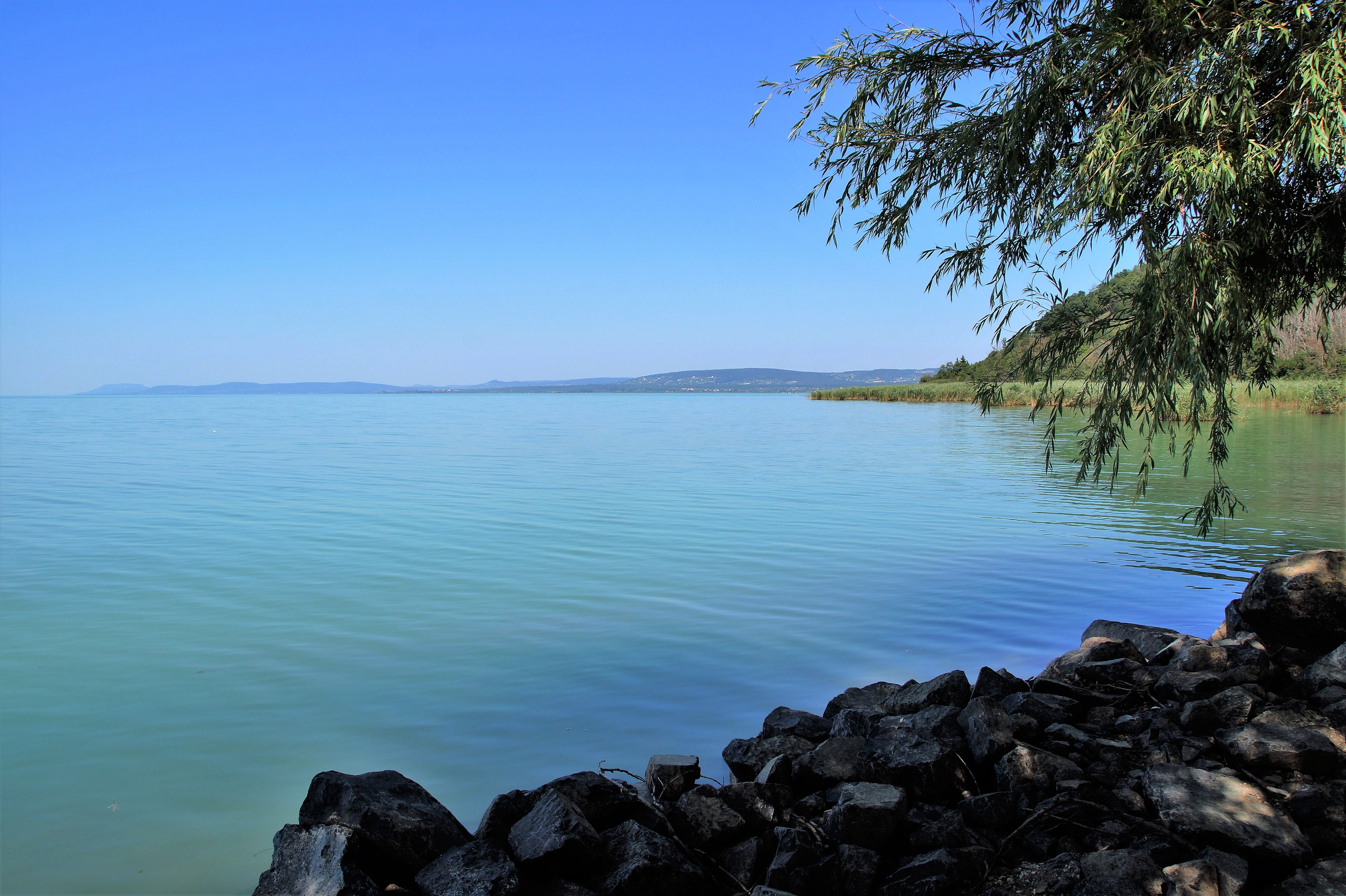 Coast, no people, tranquil scene, rock, scenics - nature, tranquility, tree, Water, bay, beauty in nature, non-urban scene, horizon over water, blue, clear sky, HD Wallpaper