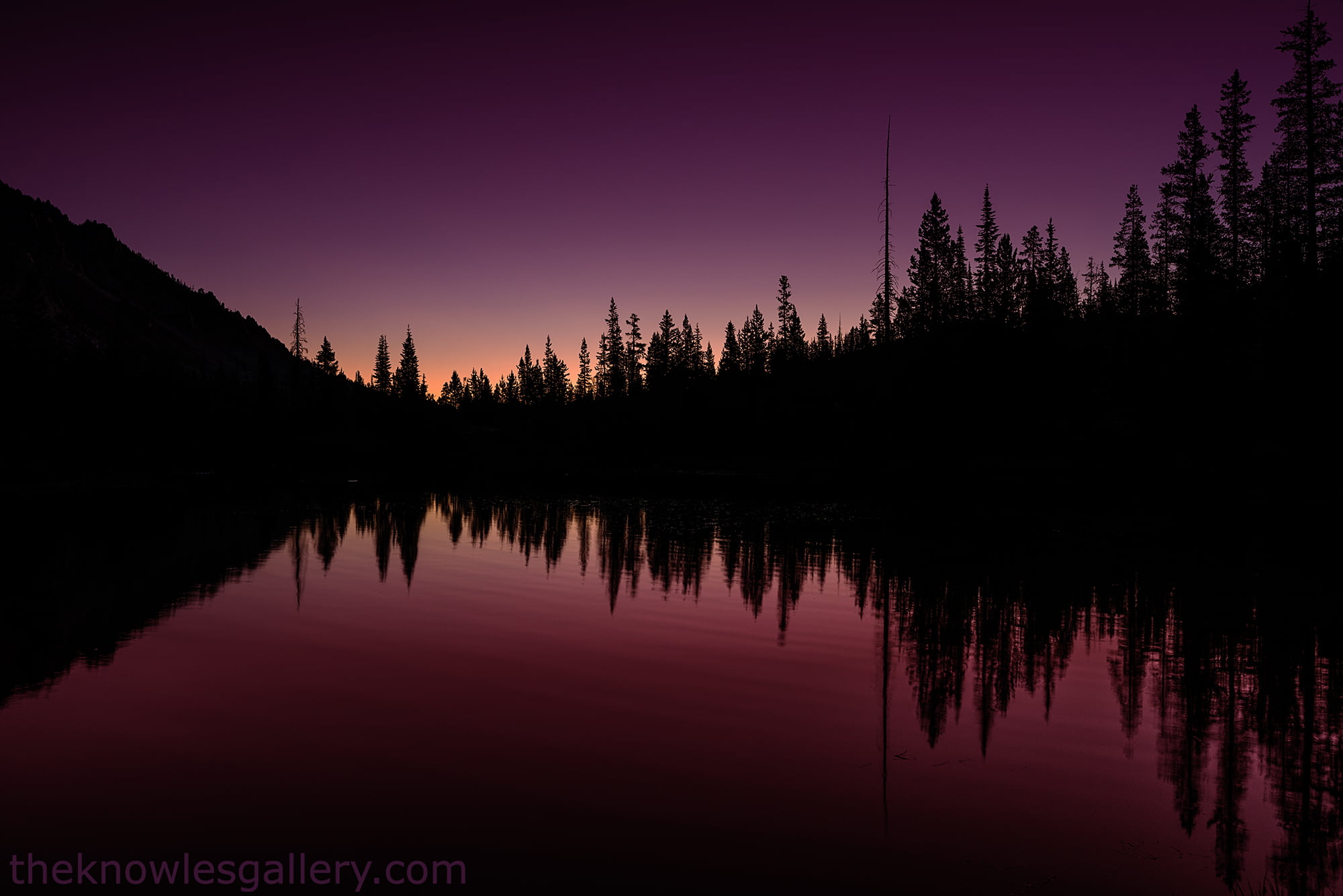 trees, tree, outdoors, mountains, tranquil Scene, lake, mountain lake, forest, sunset, wilderness, Alice Lake, body, body of water, Idaho, water, nature, HD Wallpaper
