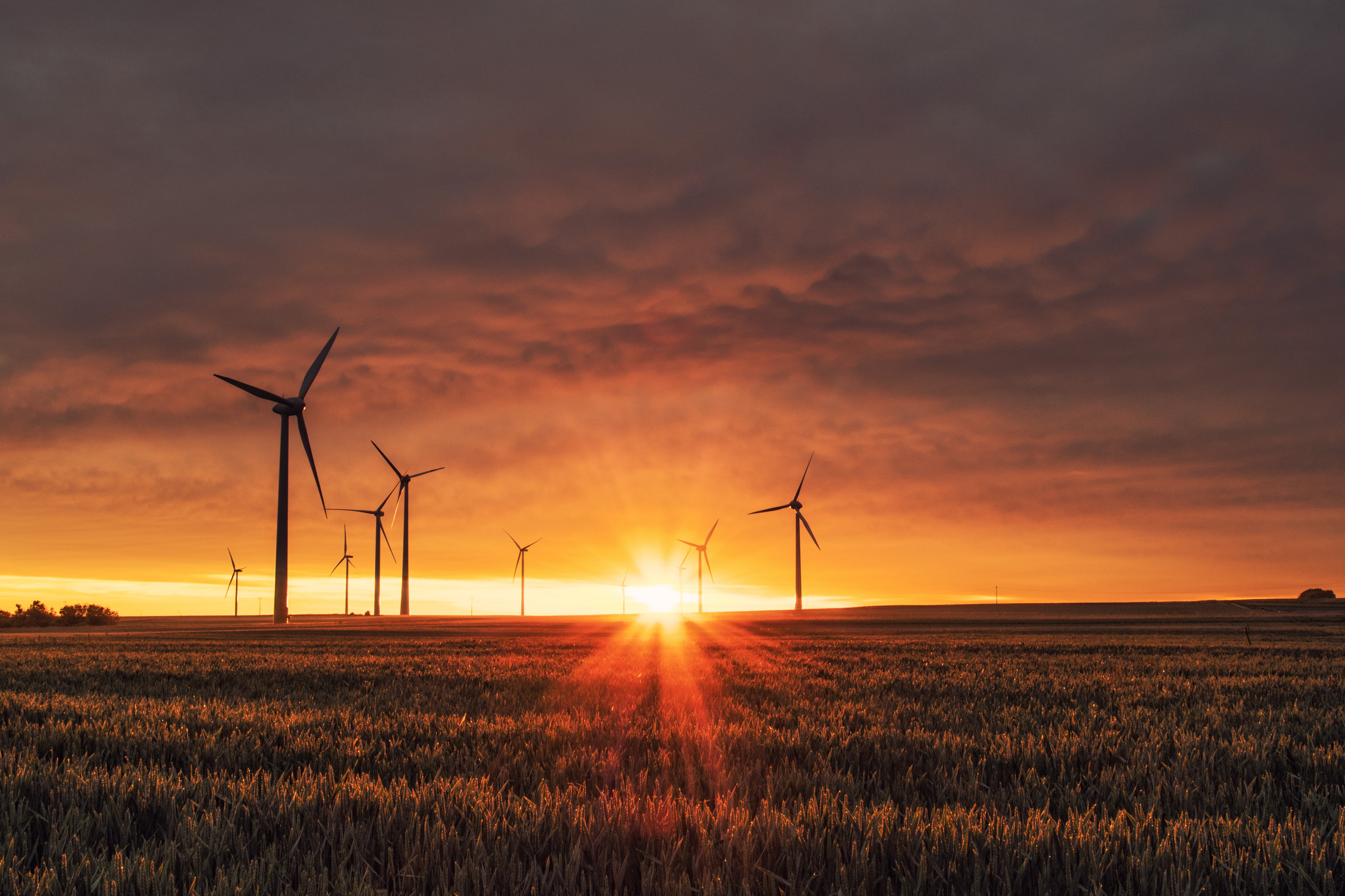 windmills, environment, wind power, land, turbine, cloud - sky, environmental conservation, sunset, silhouette, rural scene, field, renewable energy, sunshine, HD Wallpaper