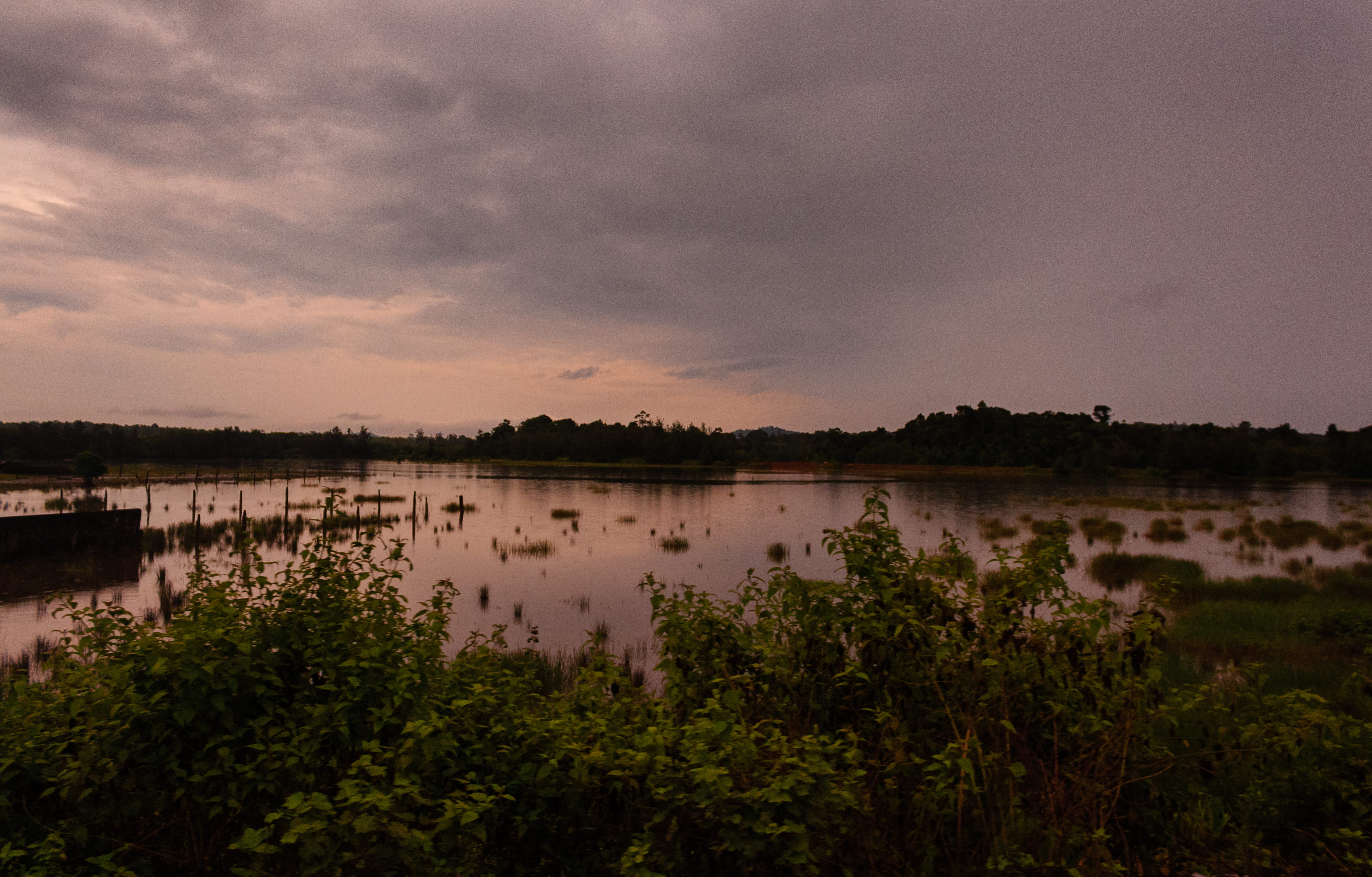 non-urban scene, water, tranquility, swamp, sky, nature, lake, outdoors, grass, lagoon, cloud - sky, no people, beauty in nature, clouds, cloudformation, HD Wallpaper