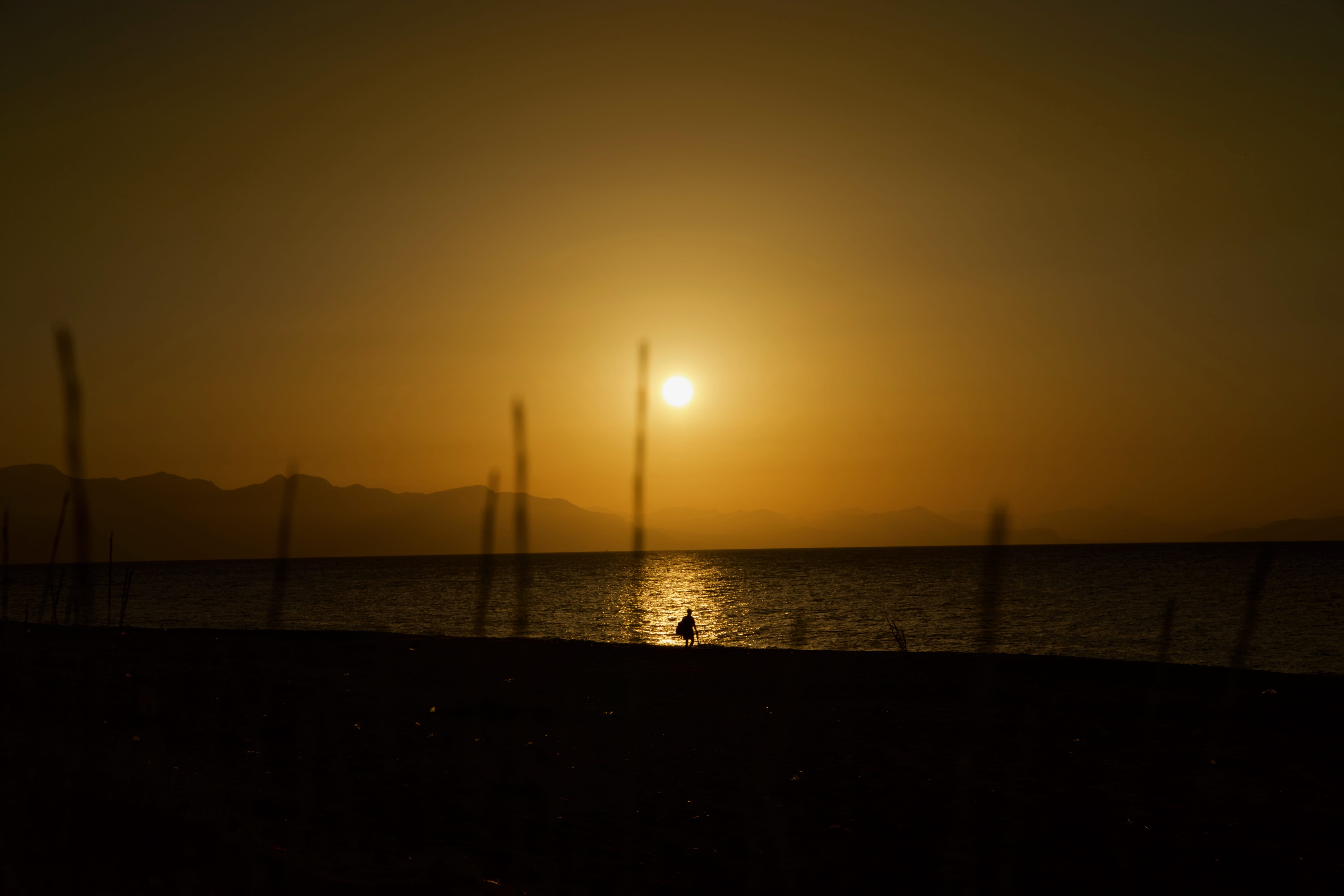 5K, nature, shore, tranquil scene, sunlight, water, scenics - nature, horizon over water, beach, no people, sky, horizon, sun, silhouette, sunset, idyllic, HD Wallpaper