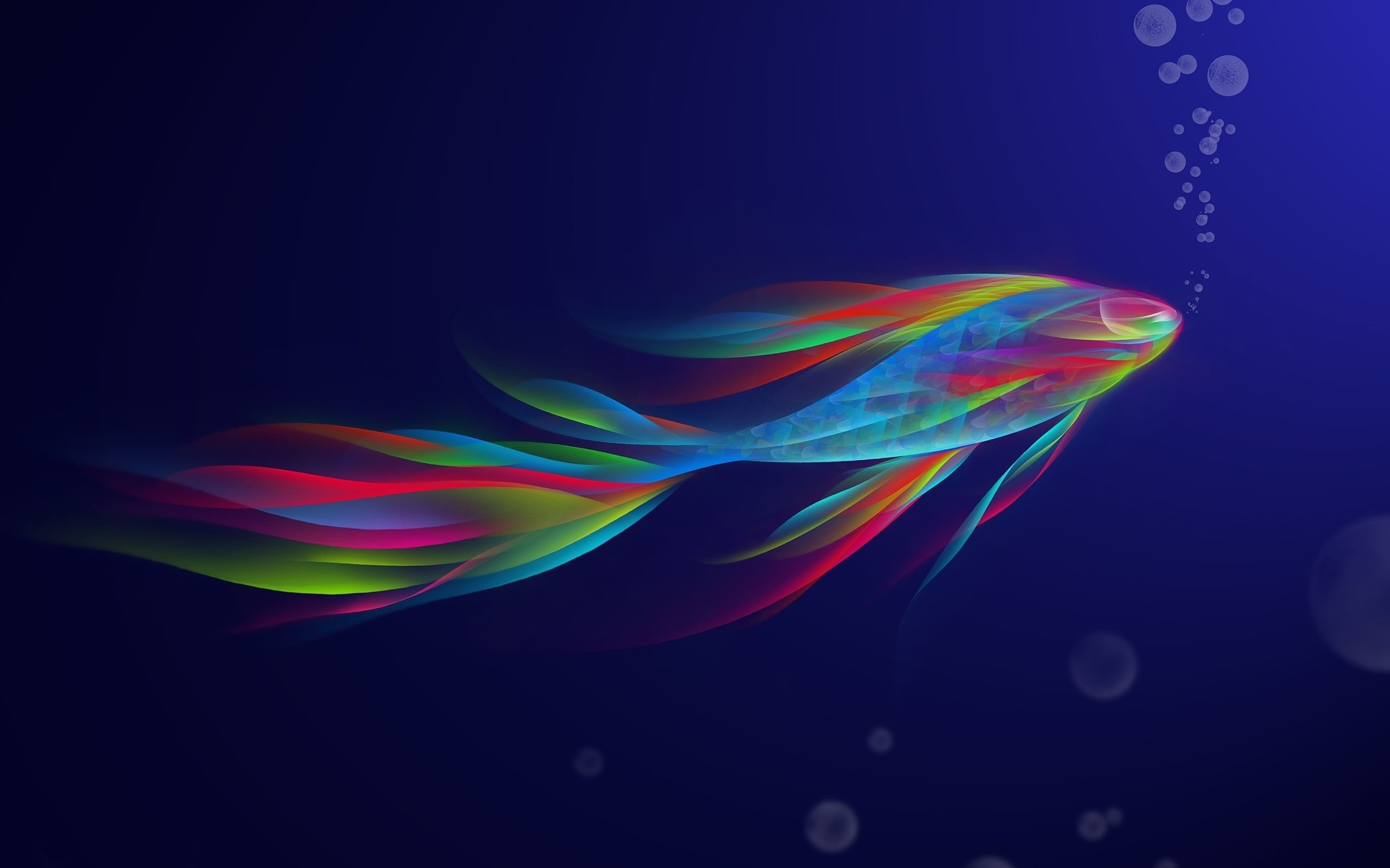 indoors, pattern, mid-air, fish, bubble, transparent, rainbow, black background, multi colored, digital art, nature, light - natural phenomenon, no people, HD Wallpaper