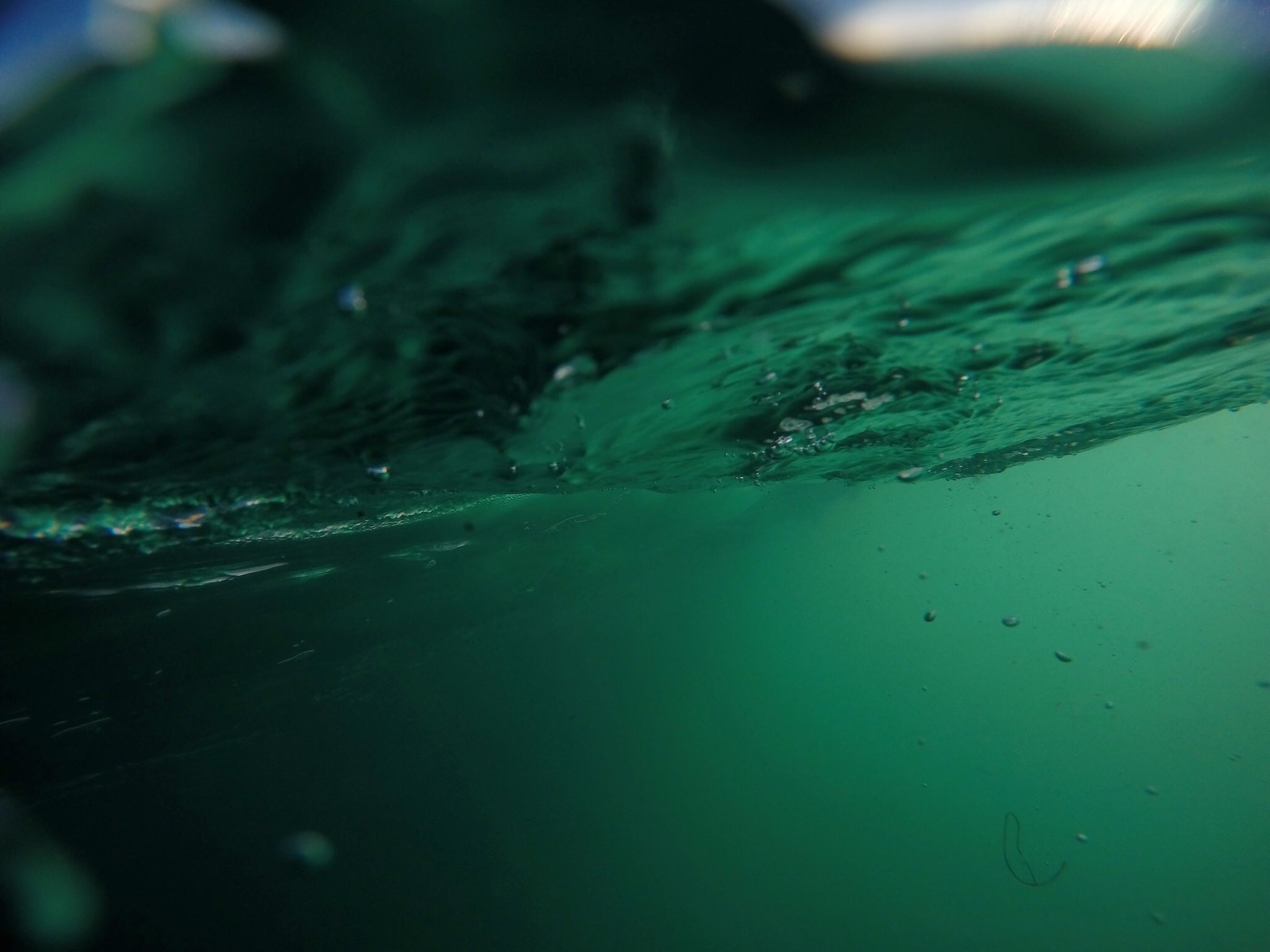underwater, macro, outdoors, green color, beauty in nature, marine, ripple, water, drop, swimming, bubble, purity, day, drops, sea life, no people, blue, HD Wallpaper