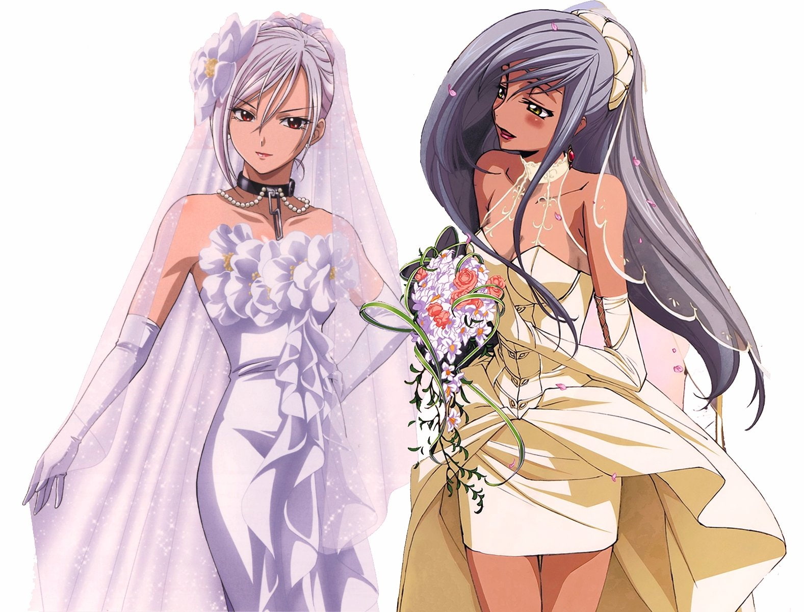 720P, geass, villetta, moka, rosario, code, akashiya, vampire, HD Wallpaper