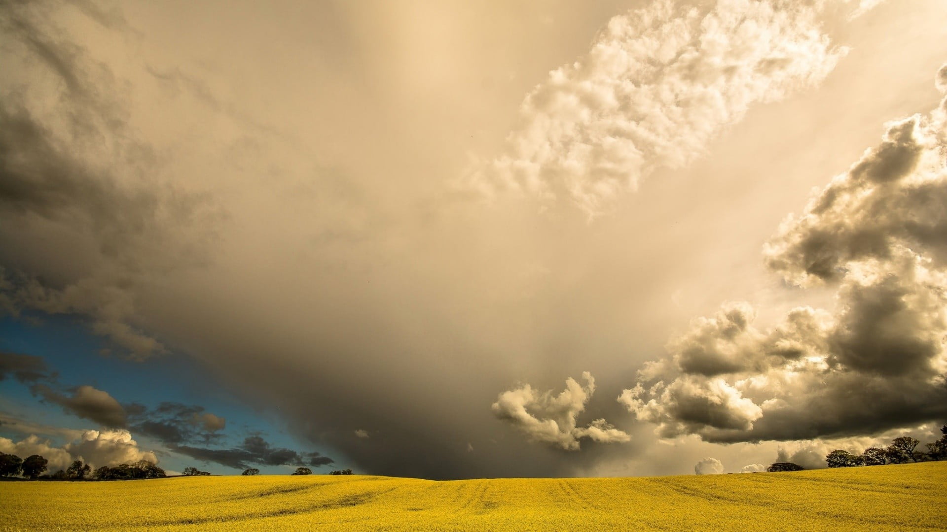 nature, land, beauty in nature, tranquil scene, tranquility, plant, agriculture, idyllic, day, scenics - nature, no people, storm, black, outdoors, cloud - sky, HD Wallpaper