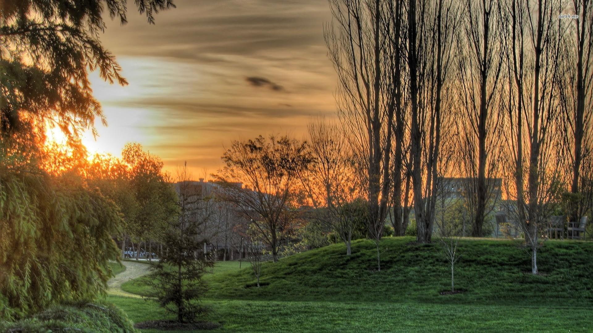 sunset, 1080P, light, orange, forest, nature, landscape, field, trees, green, park, grass, neighborhood, land, HD Wallpaper