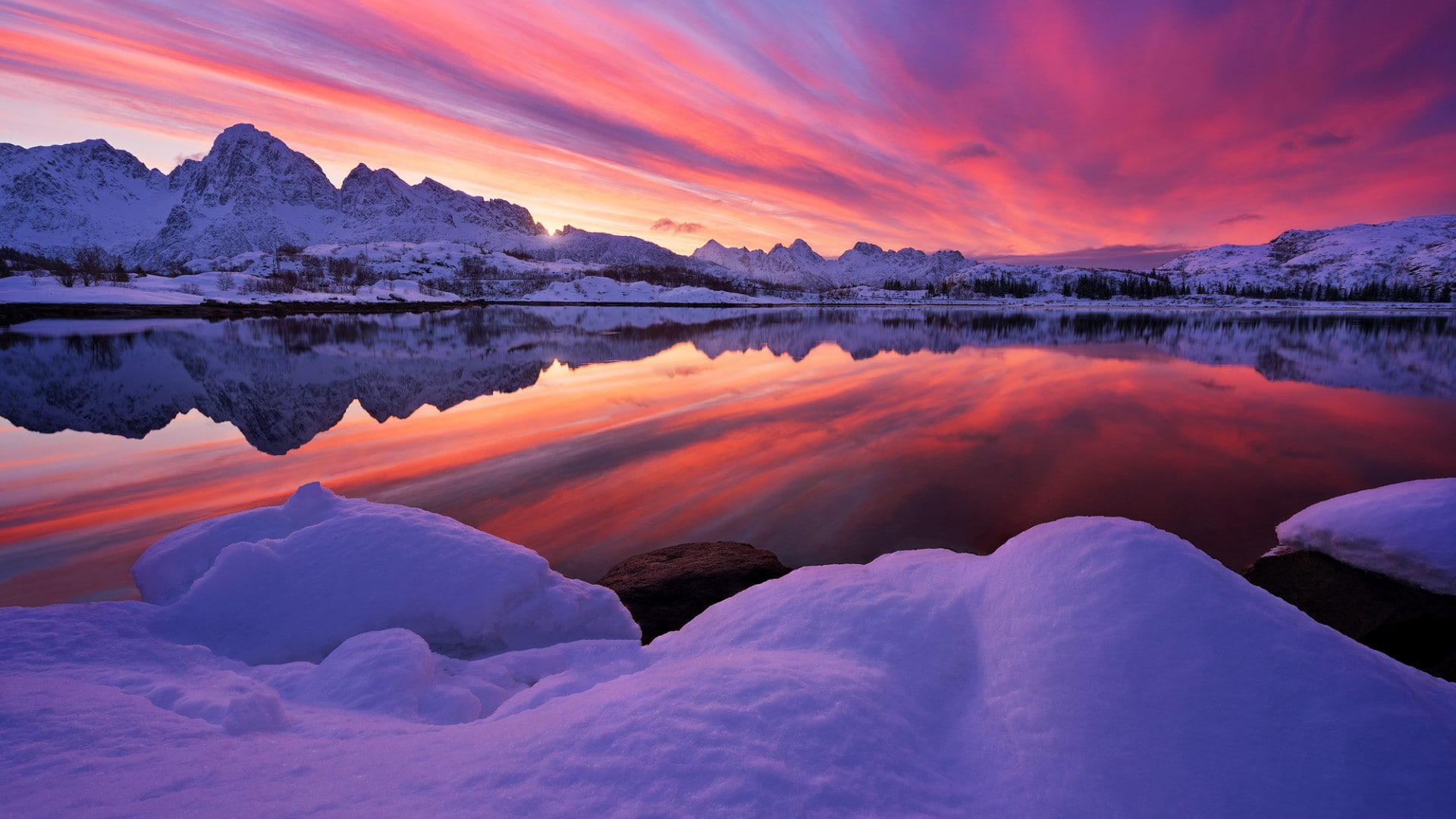 1080P, Arctic, 4k, 8k, HD, Delight, HD Wallpaper