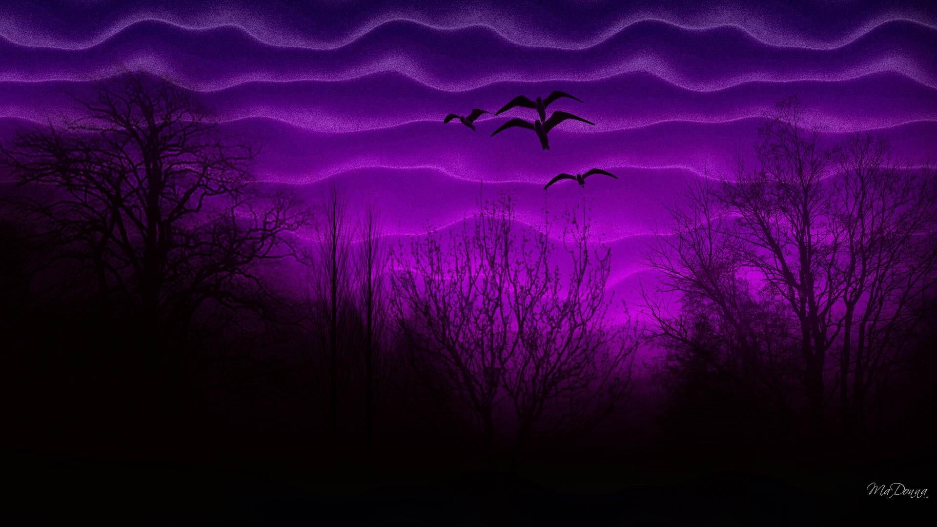 geese, trees, dark, birds, delight, autumn, sky, twilight, 1080P, sunset, fall, ducks, 3d and abstract, magenta, purple, HD Wallpaper