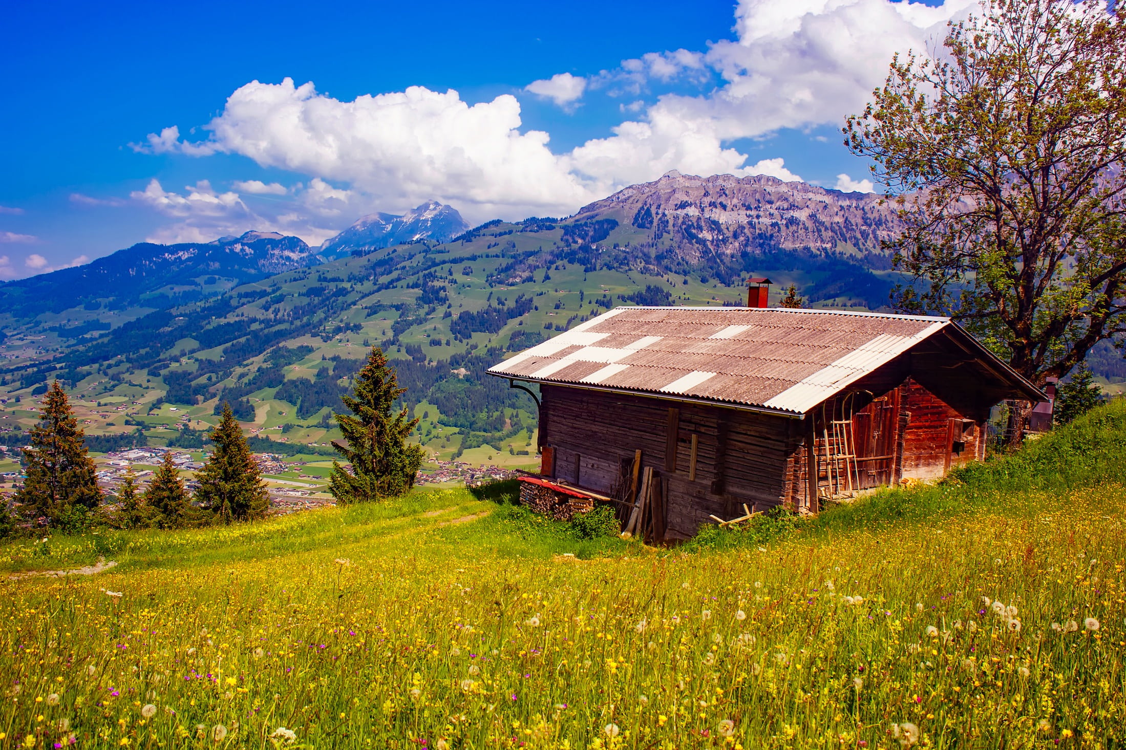 land, wood - material, scenics, rural scene, environment, country, mountains, field, plant, wooden, switzerland, brown, landscape, mountain range, house, HD Wallpaper