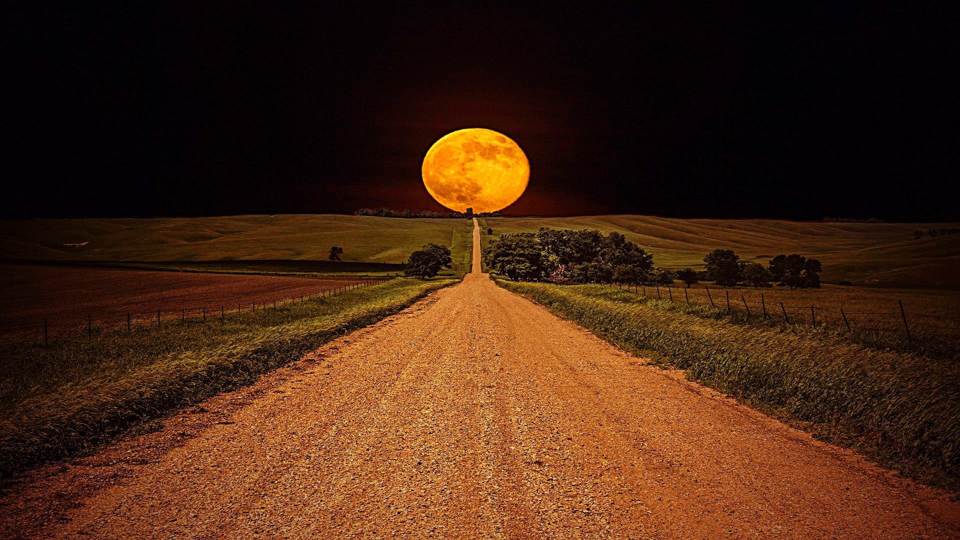 full moon, 1080P, road, way, field, night sky, night, moon, HD Wallpaper