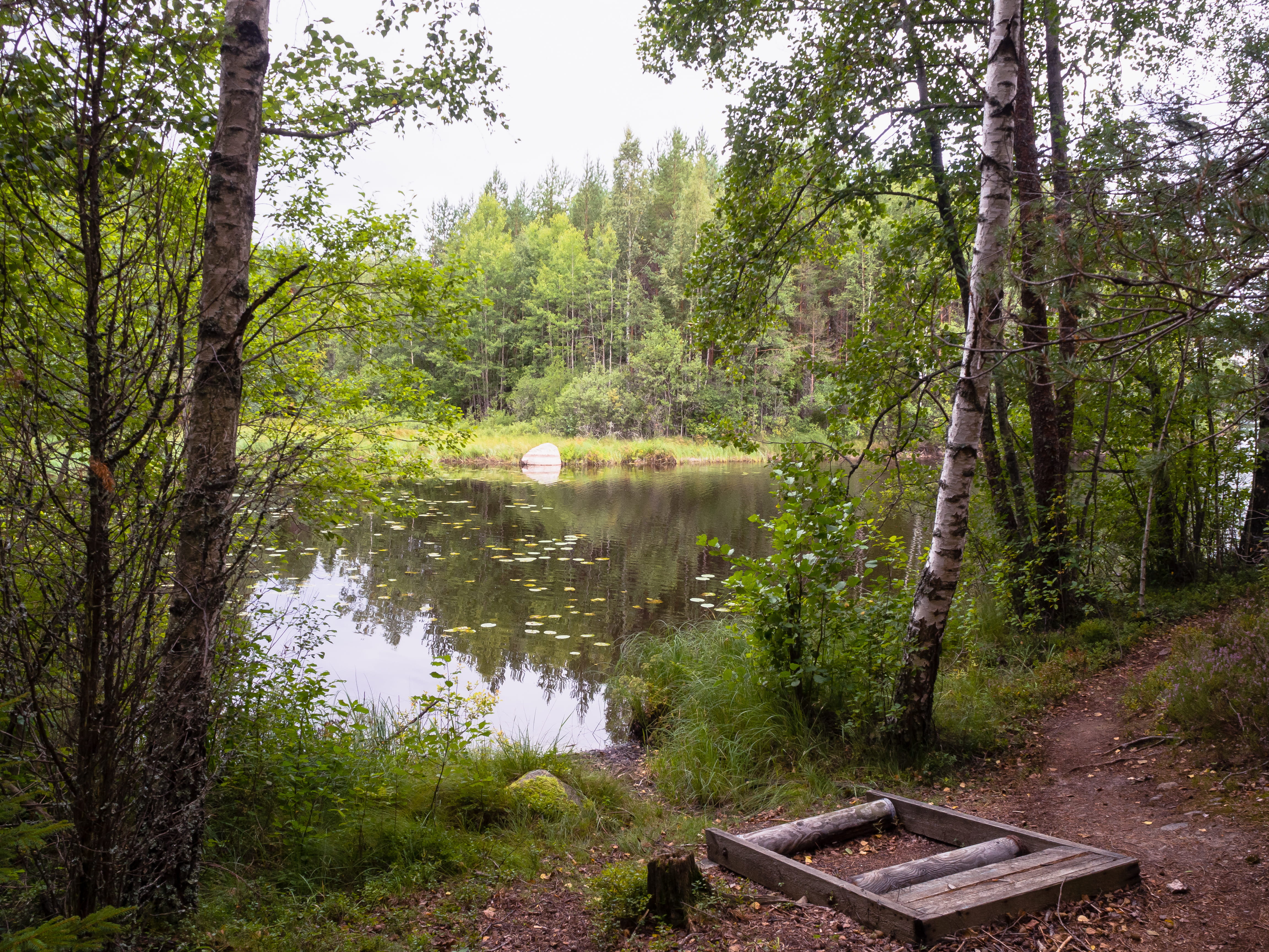 forest, water, land, finland, forrest, lake, plant, beauty in nature, boat, reflection, nature, tranquil scene, day, summer, trunk, green color, tree trunk, HD Wallpaper