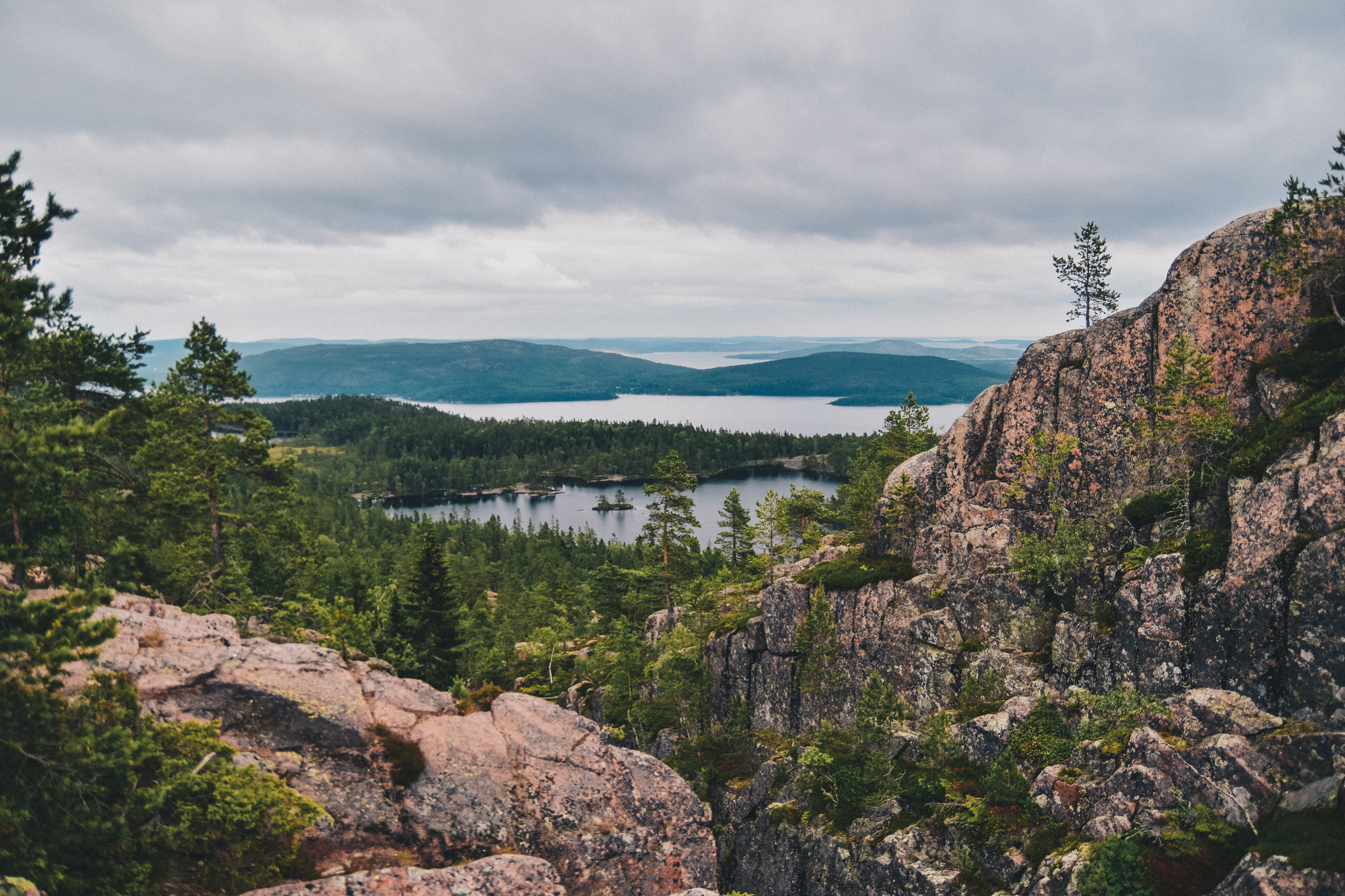 forrest, sweden, rock - object, tranquility, outdoors, sky, mountain, nature, beauty in nature, view, skuleskogen national park, idyllic, 5K, water, plant, HD Wallpaper