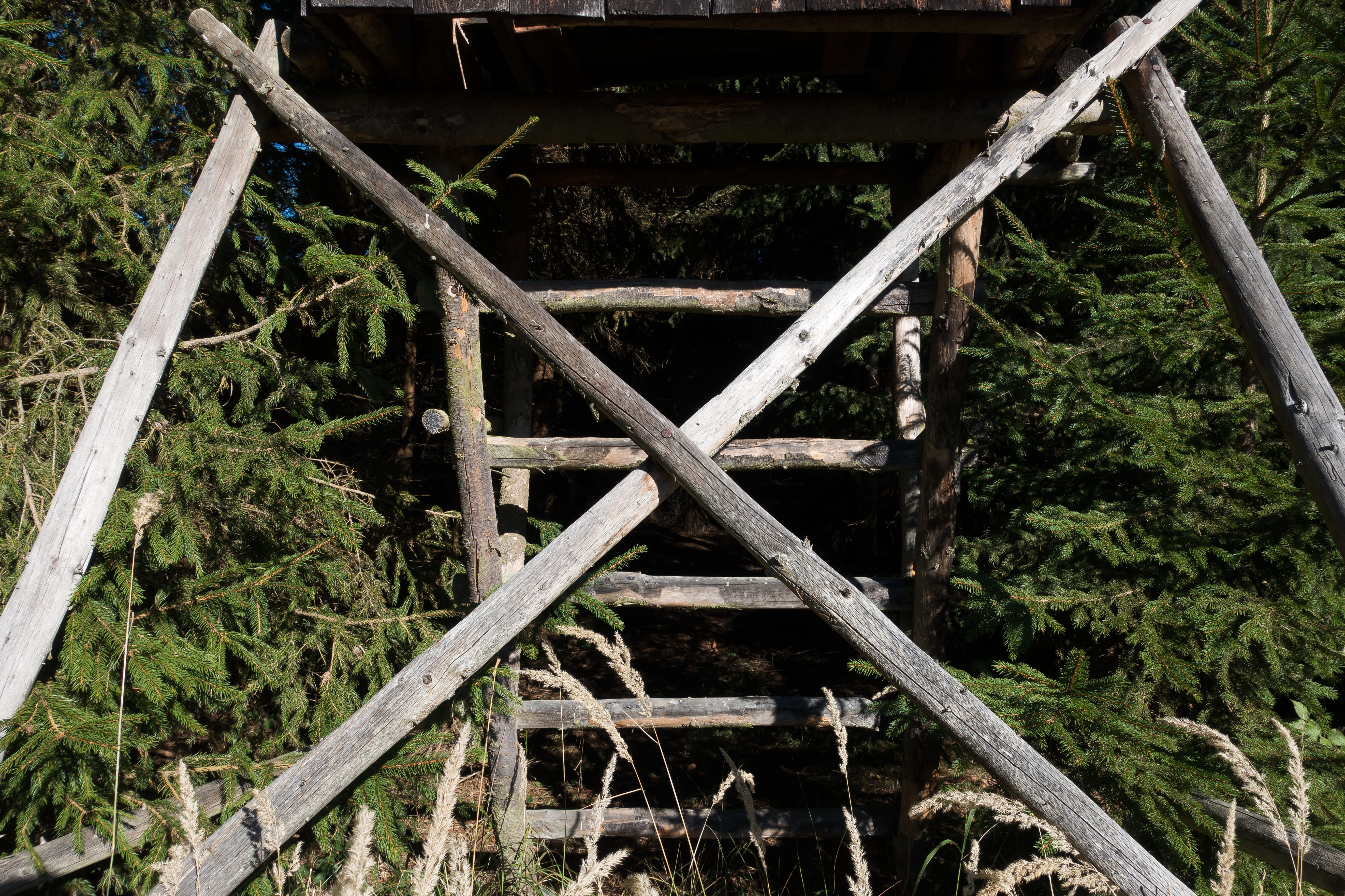 wood - material, hunt, outdoors, wild, trees, hidden, connection, land, close-up, hunter, metal, stalking equipment, tree, plant, architecture, built structure, HD Wallpaper