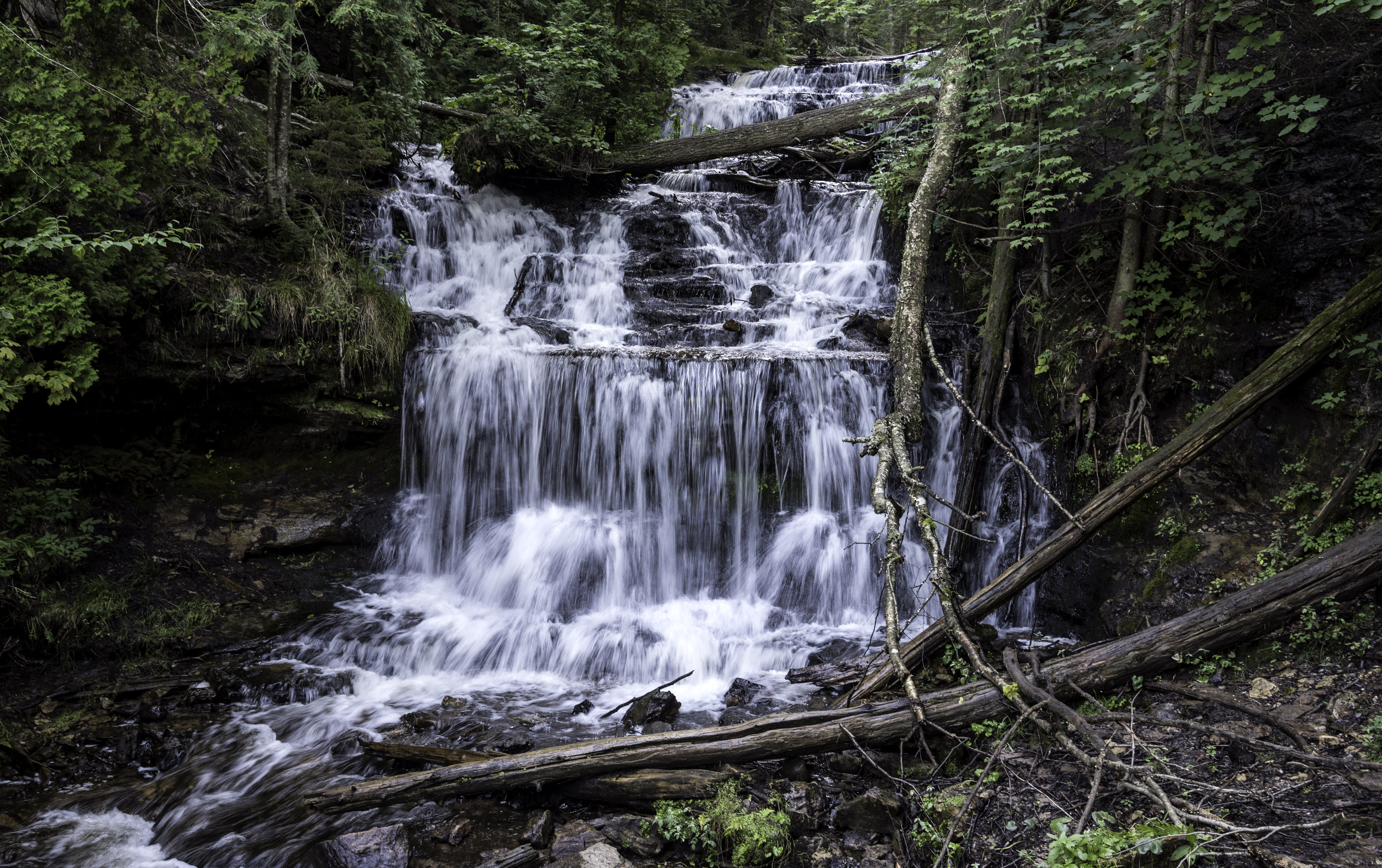 beauty In Nature, nature, tree, trees, rock, waterfall, long exposure, stream, falling, scenics - nature, rainforest, scenics, splashing, rock - Object, HD Wallpaper