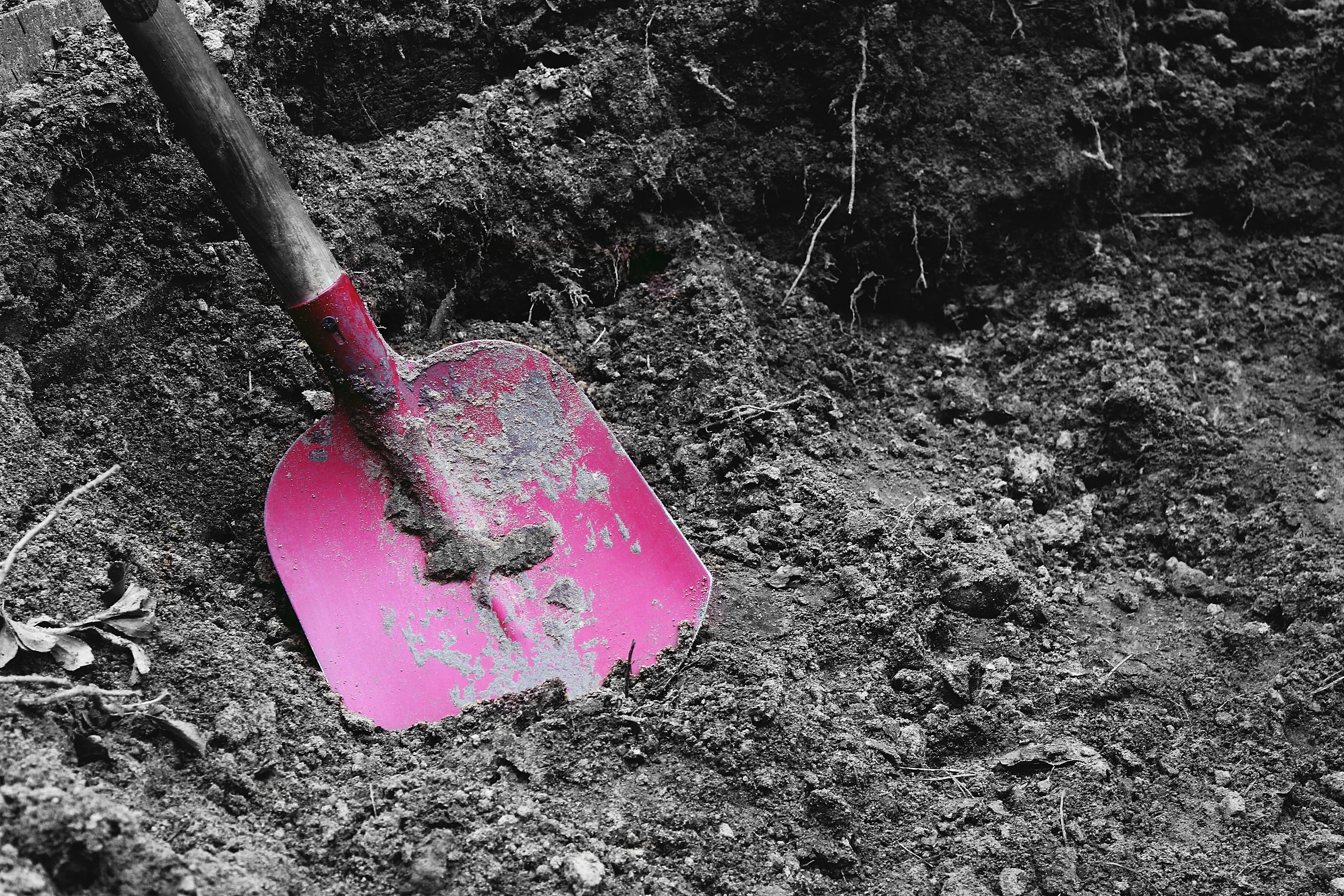 work, trunk, plant, land, blade, high angle view, tool, craft, pink color, gardening, hand tool, shovel, 2K, construction work, tree, digging, hanging, HD Wallpaper