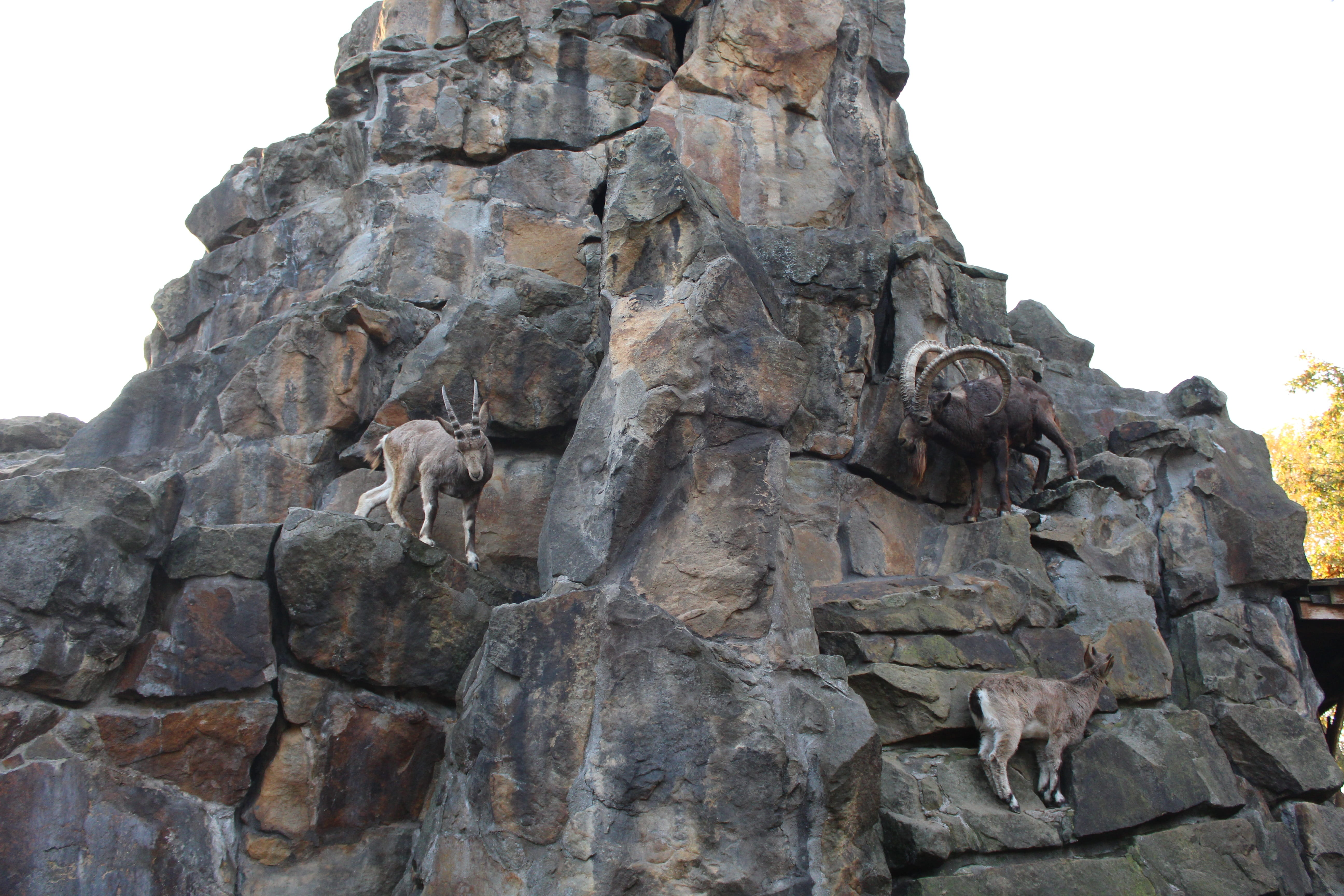 creativity, nature, landscape, solid, Hill, architecture, ancient civilization, goat, goats, representation, zoo, 5K, male likeness, religion, craft, art and craft, HD Wallpaper