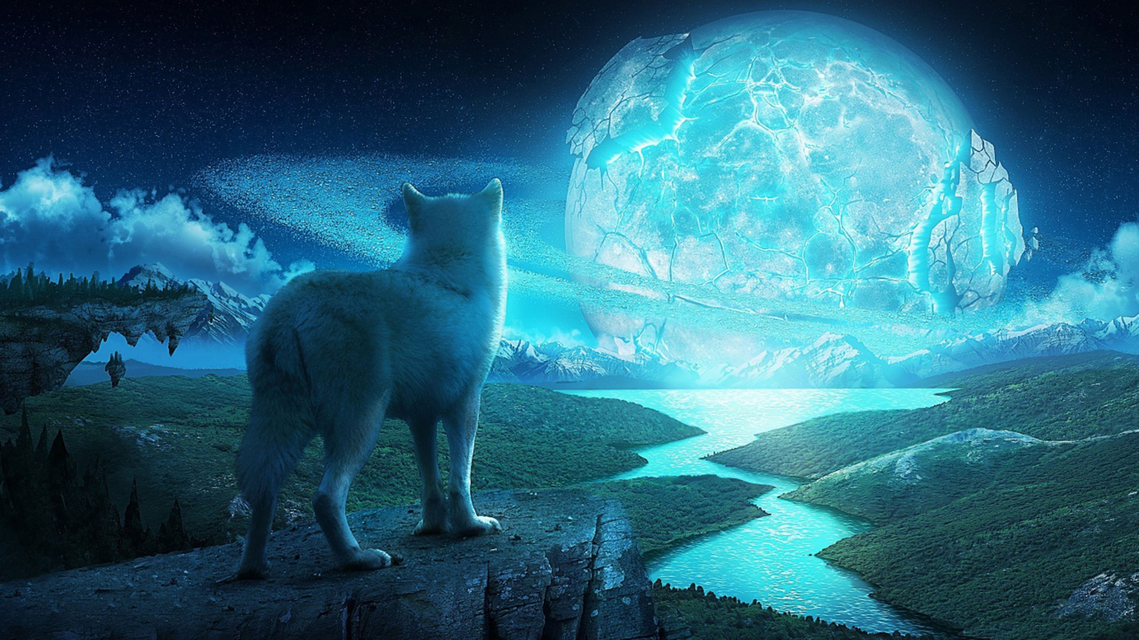 fox, spring, fantasy, clear, light, ice bear, sun, canine, arctic fox, sunny, water, summer, 4K, hammerhead, sunlight, shark, space, bear, sky, HD Wallpaper