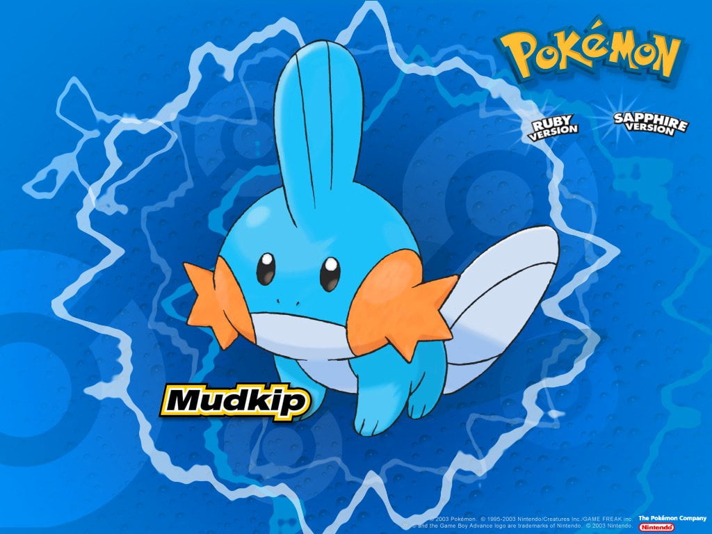 blue, Mudkip (Pokémon), text, inflatable, communication, Pokémon: Ruby and Sapphire, art and craft, vertebrate, animal wildlife, close-up, crime, sign, HD Wallpaper