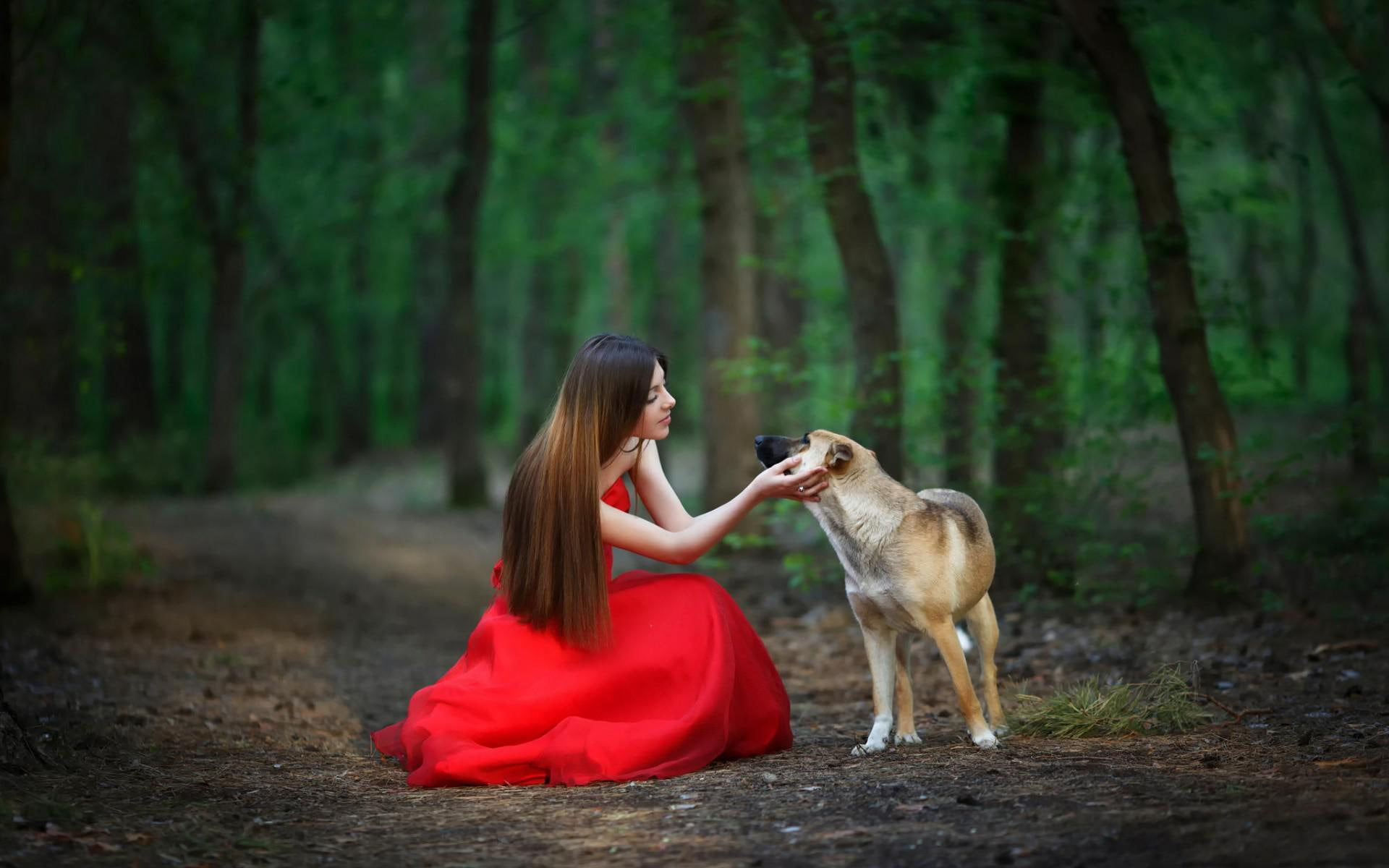 1080P, dog, forest, red, girl, scenery, red dress, dress, HD Wallpaper