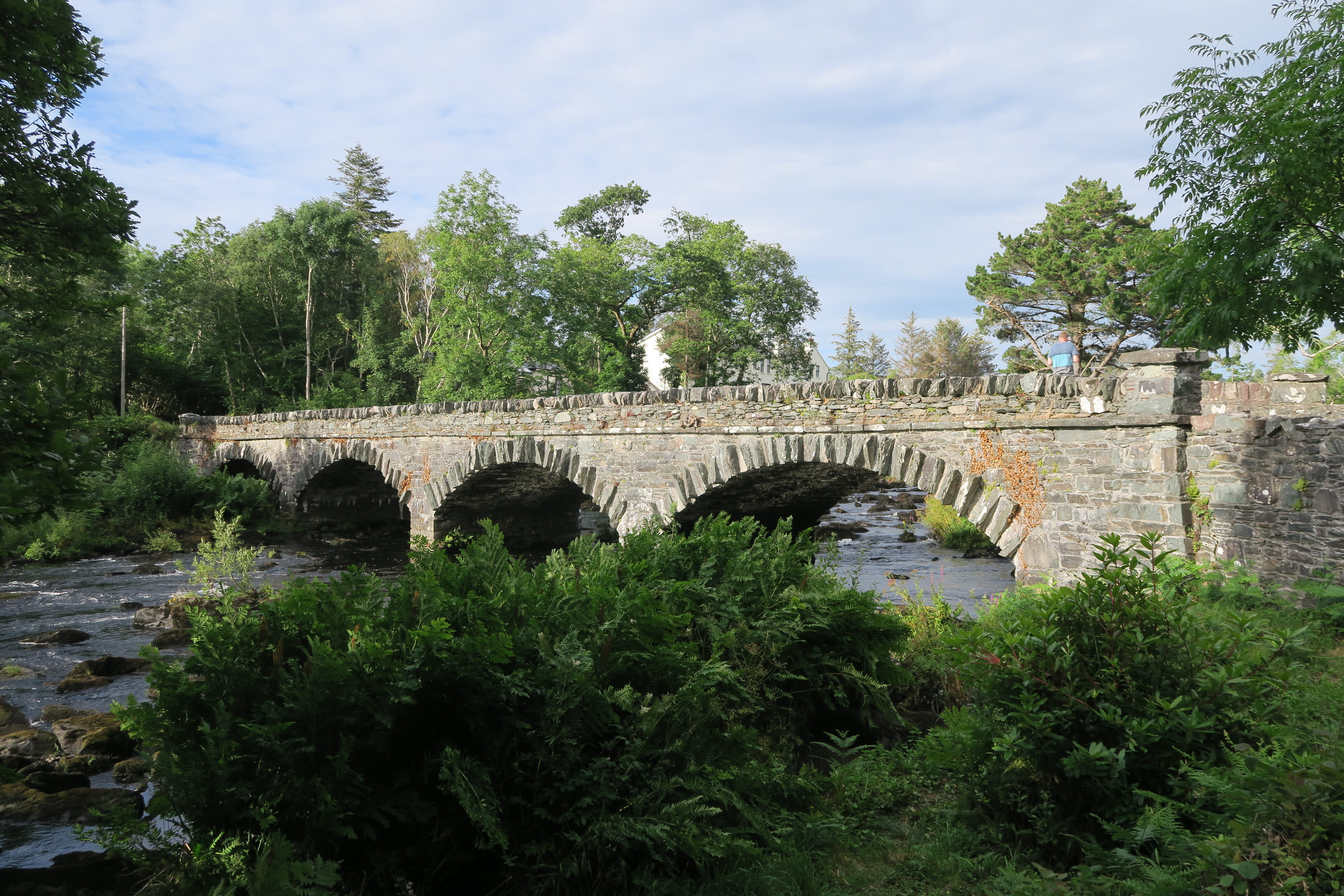 ireland, green color, tree, bridge - man made structure, green, ancient, country, roadtrip, county kerry, no people, transportation, stone bridge, nature, HD Wallpaper