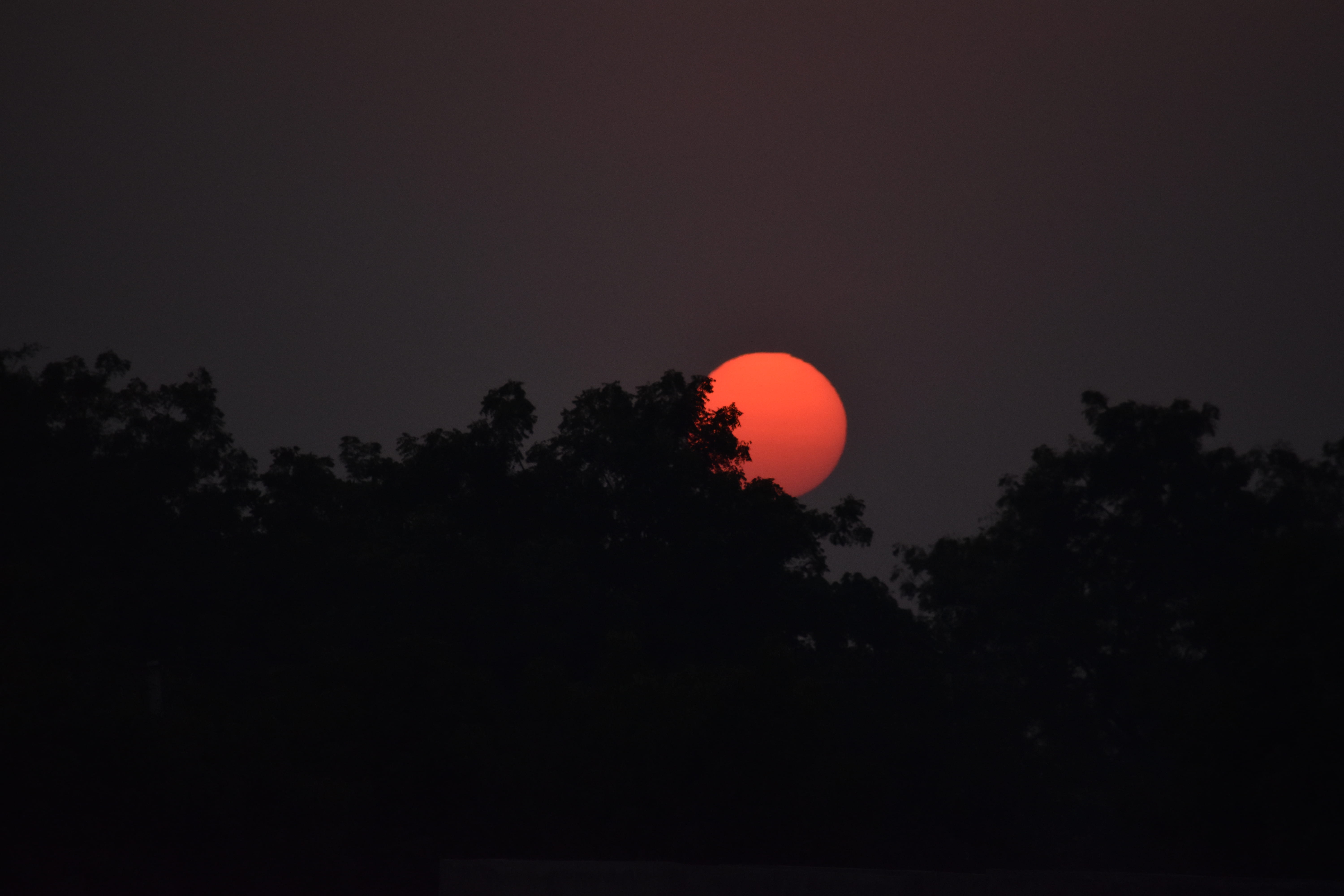 beauty in nature, tranquil scene, rise, photo, circle, dark, scenics - nature, tranquility, copy space, silhouette, full moon, peacefull, plant, trees, HD Wallpaper