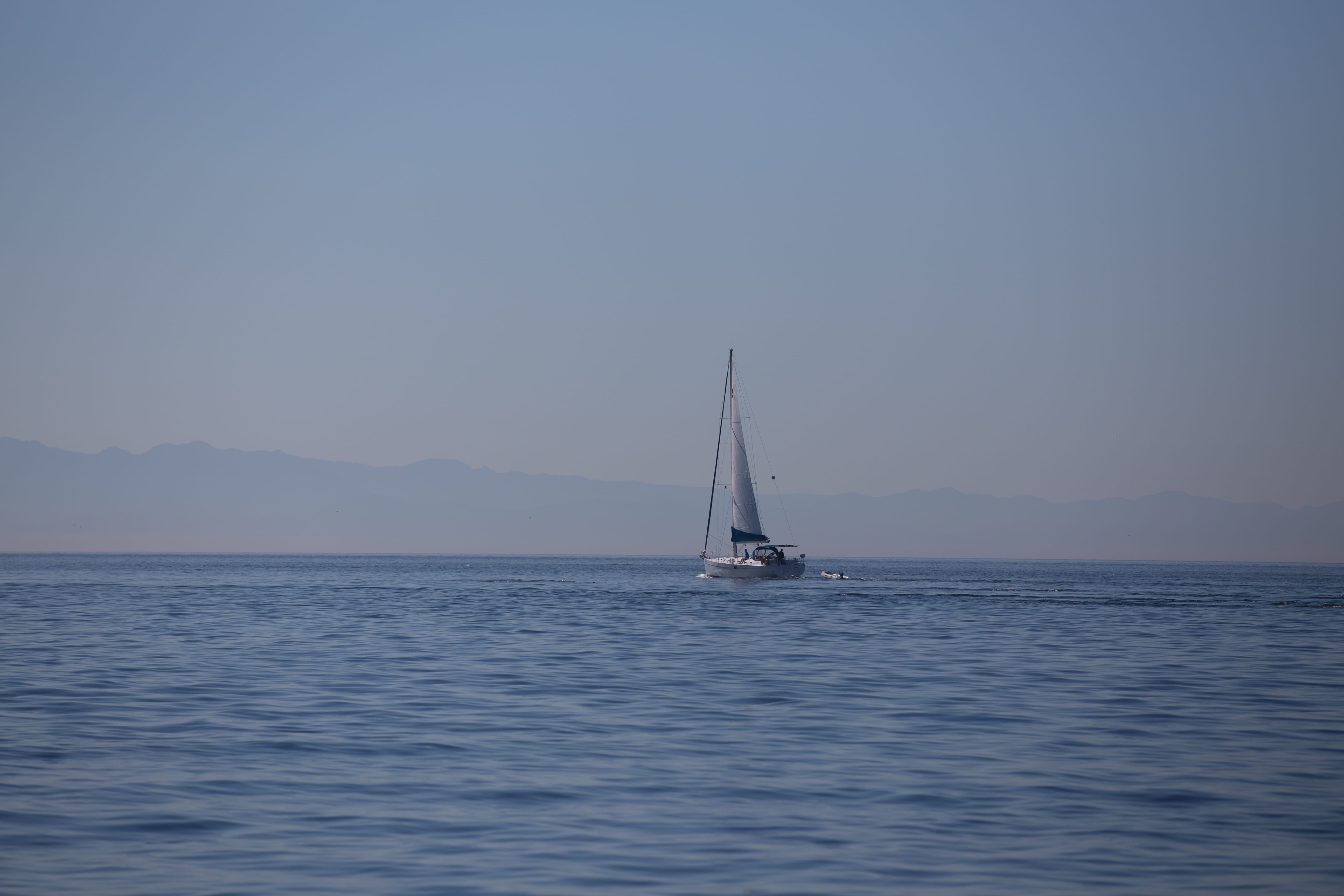 bay, no people, sail, water, nautical vessel, transportation, 5K, british columbia, ocean, outdoors, mountain, sky, beauty in nature, copy space, sailboat, HD Wallpaper