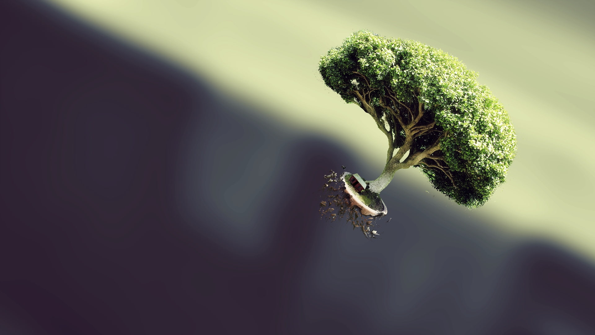 form, plant, 1080P, flying, tree, fantasy, HD Wallpaper