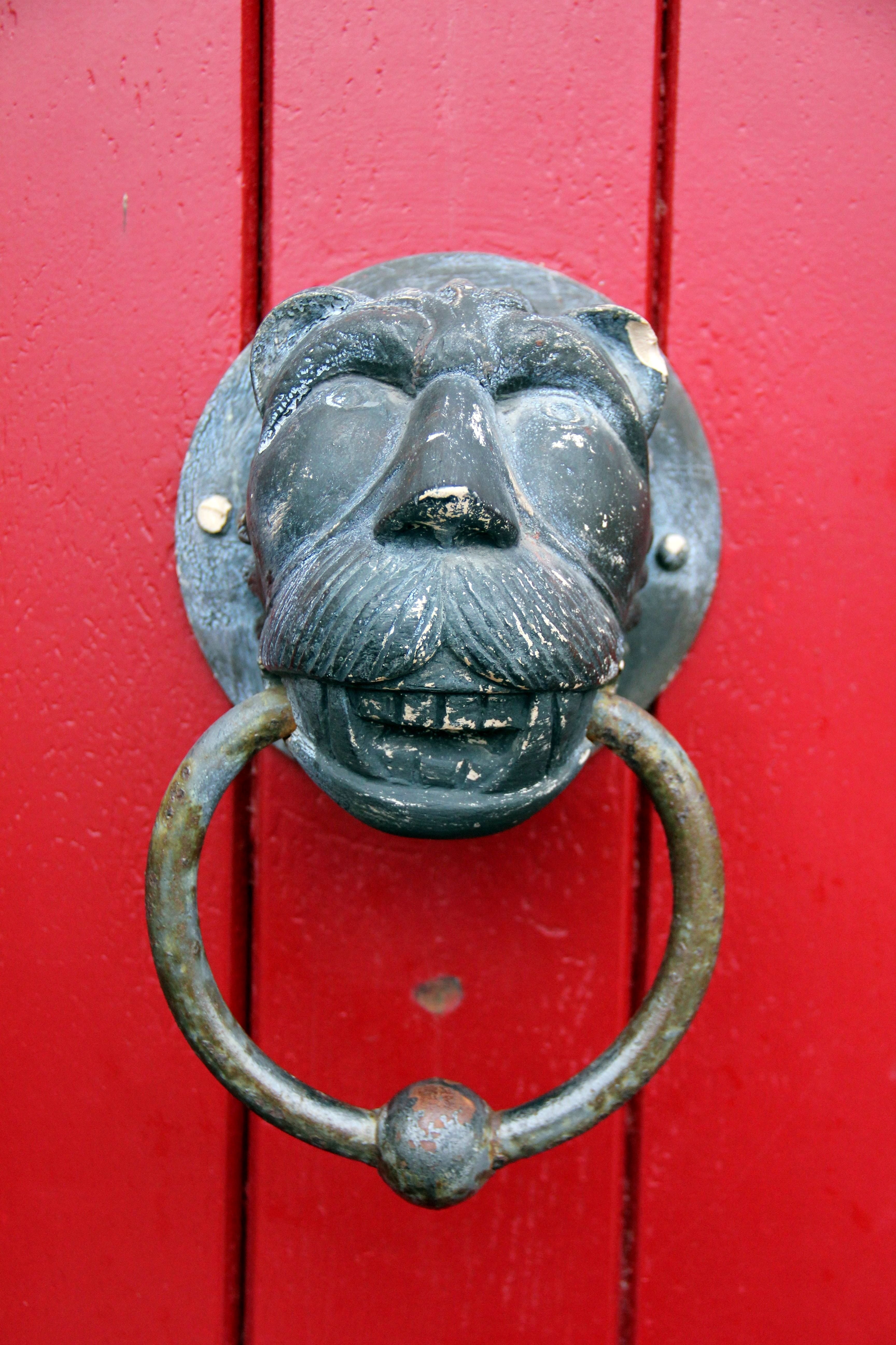 thumper, cultures, animal wildlife, entrance, red, lion, wall - building feature, metal, wood - material, lion - Feline, shape, old, gate, animal, door, Phone HD Wallpaper