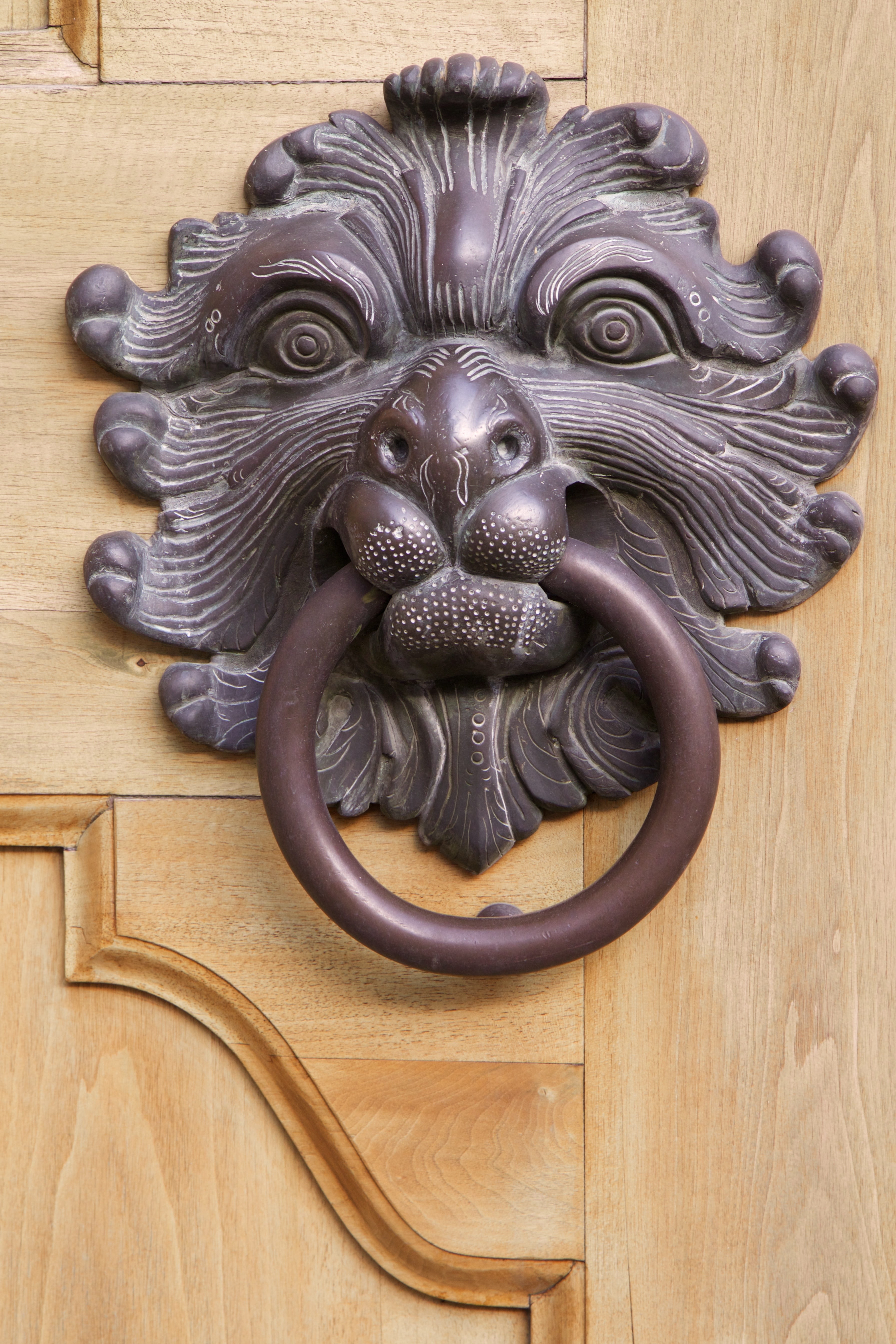 feline, thumper, door, wood, metal, lion - feline, door knocker, close-up, art and craft, representation, 5K, no people, knob, input, knocker, animal head, Phone HD Wallpaper
