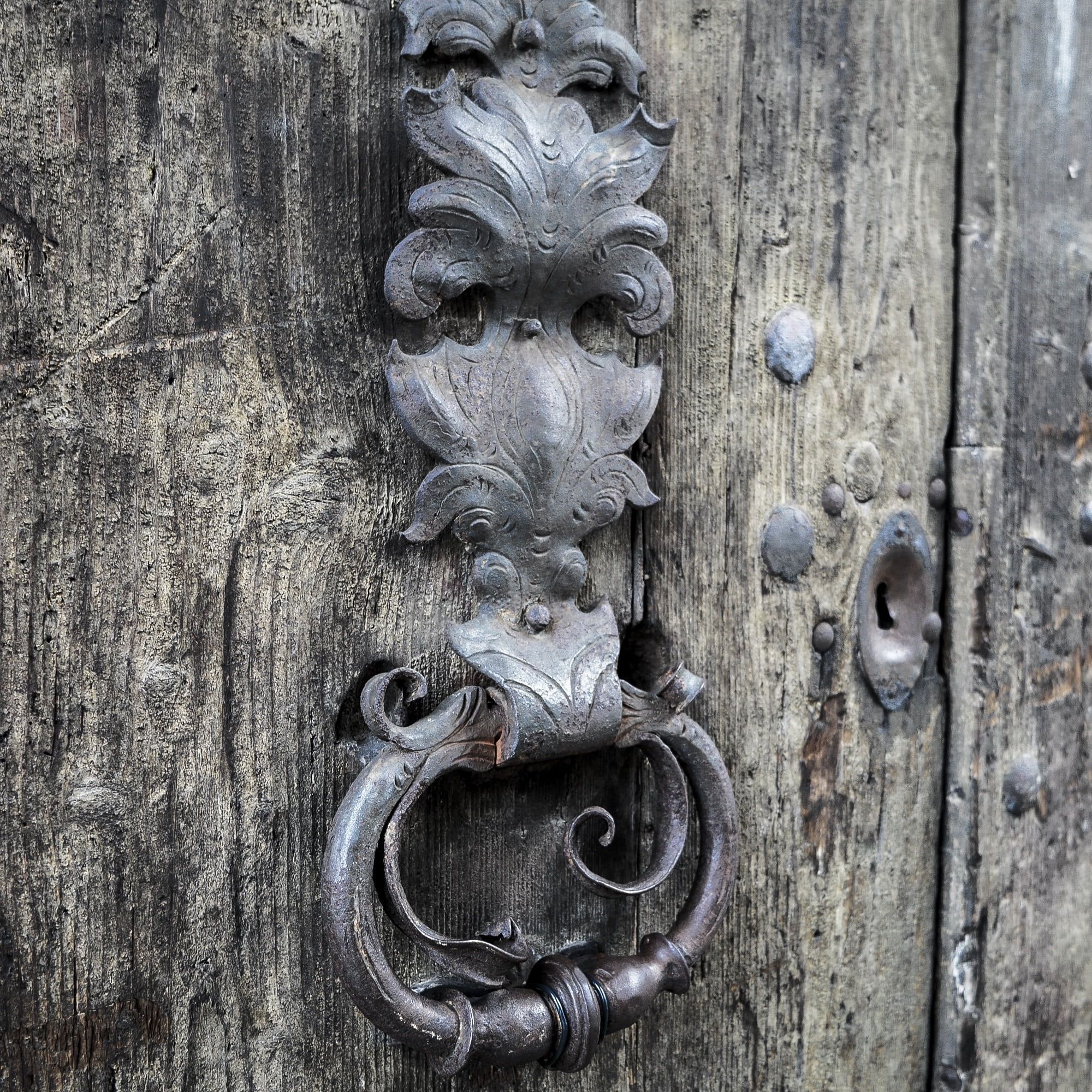 animal head, old, door hardware, decoration, animal, knob, mammal, doorknob, day, lion - feline, close-up, door Knocker, ornate, antique, entrance, safety, Phone HD Wallpaper