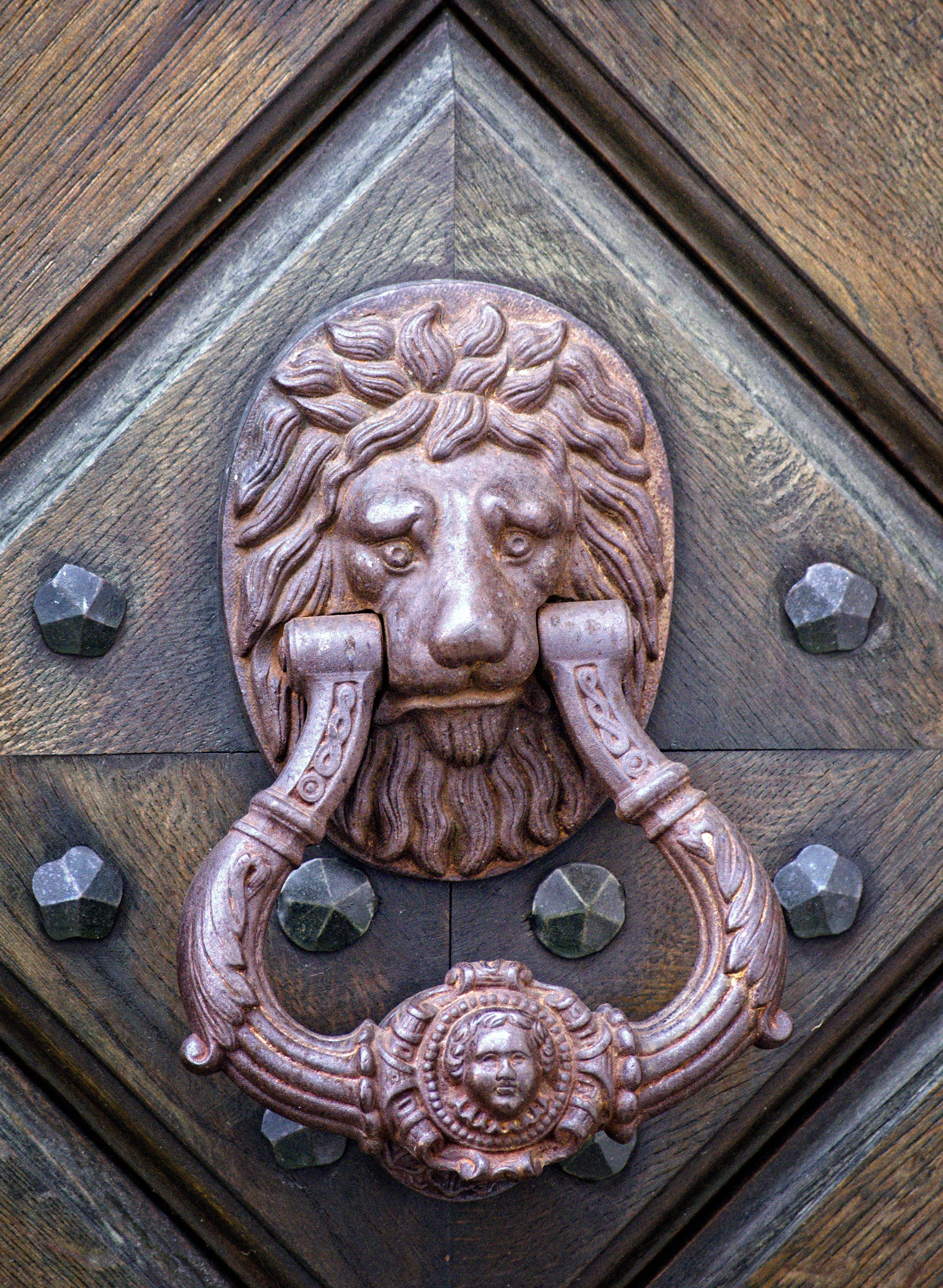 carving, animal head, doorknocker, creativity, ring, ornament, day, handle, animal themes, input, close-up, fitting, metal handle, door, cat, door knocker, Phone HD Wallpaper