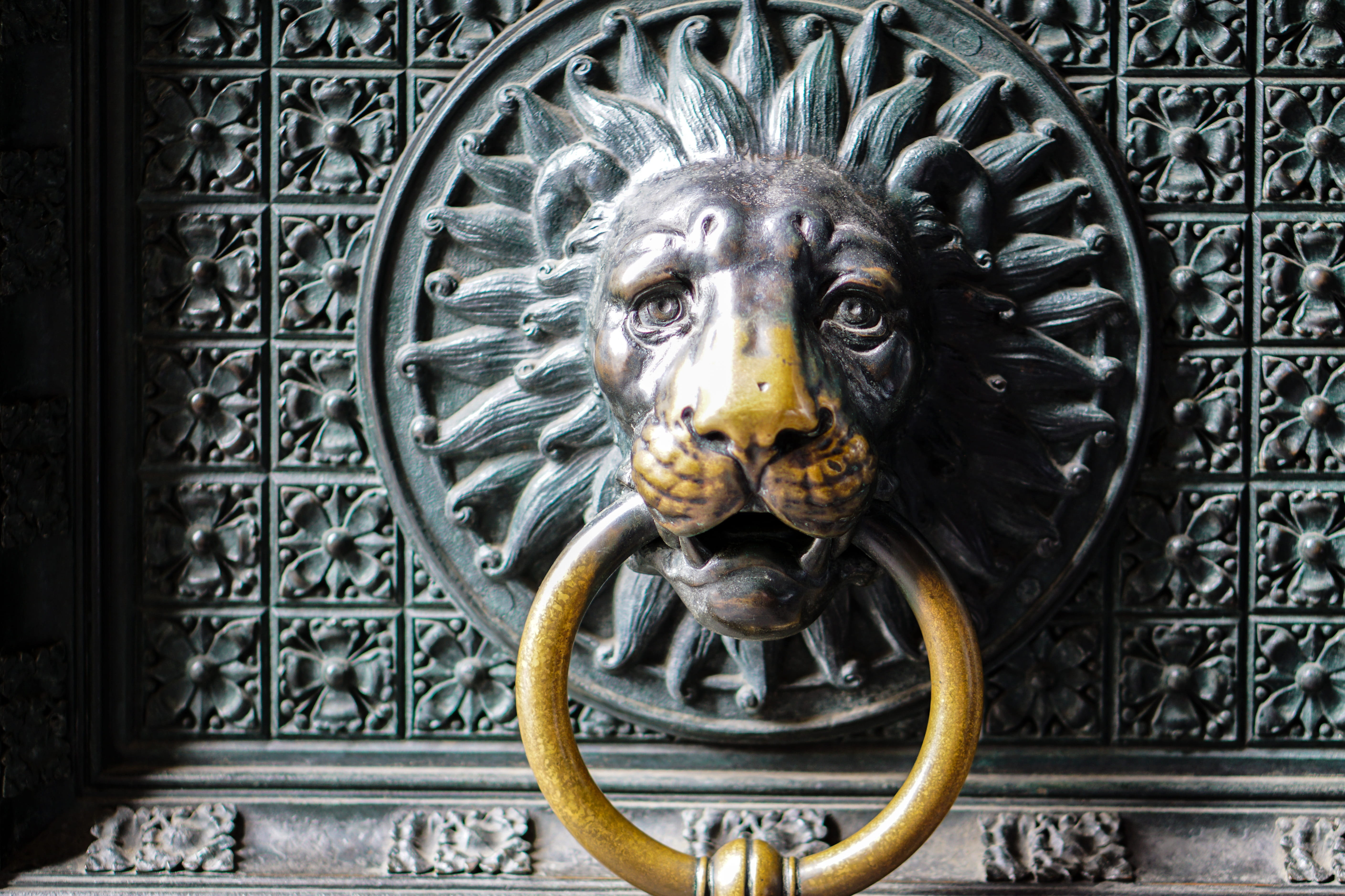 decorative, figure, floral pattern, ring, sculpture, architecture and art, carving - craft product, metal, door, statue, head, old, design, entrance, input, HD Wallpaper
