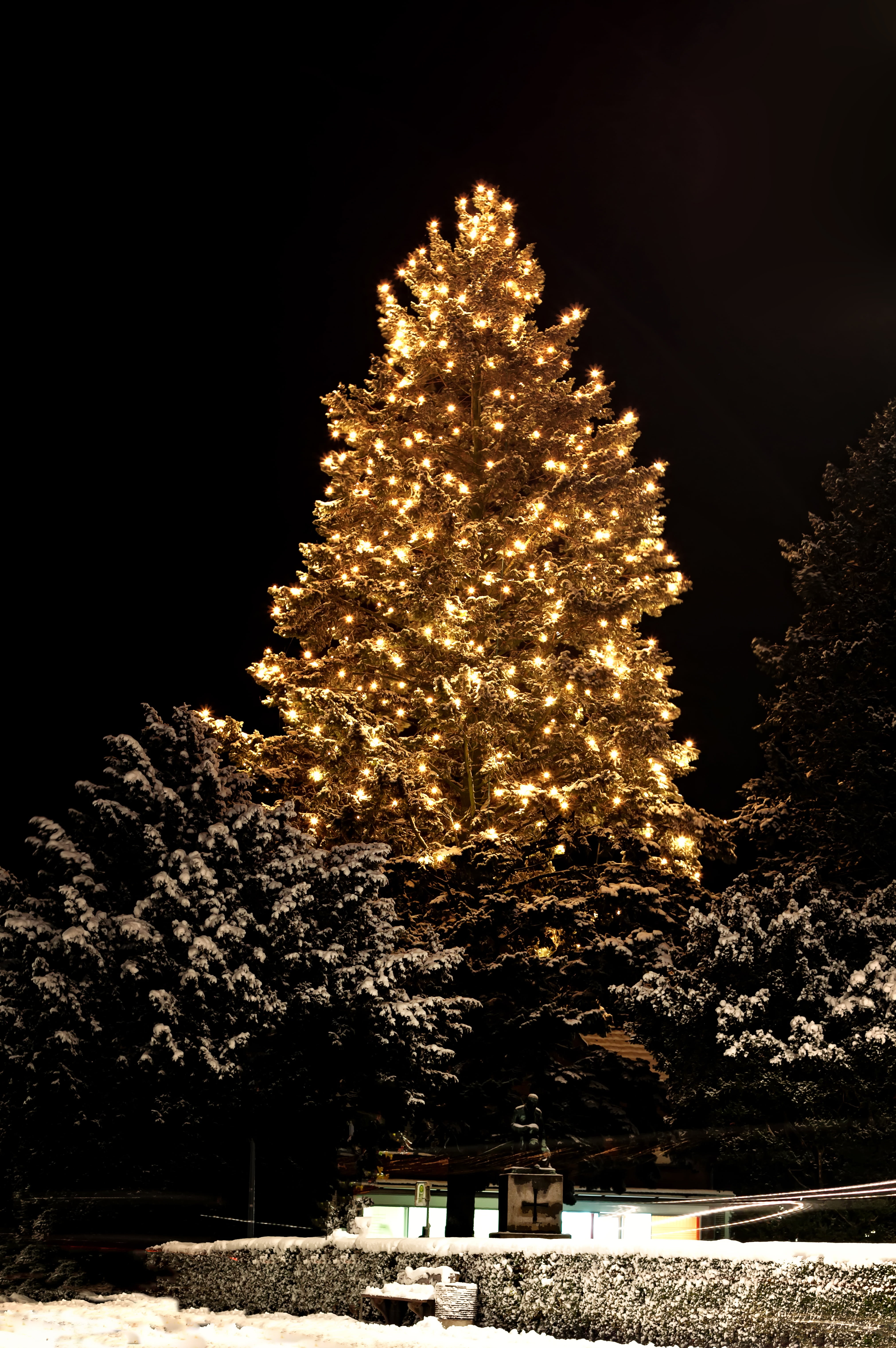 night, christmas lights, 5K, dark, electric christmas tree, season, winter, christmas ornaments, celebration, christmas, sparkle, nature, sky, illuminated, Phone HD Wallpaper