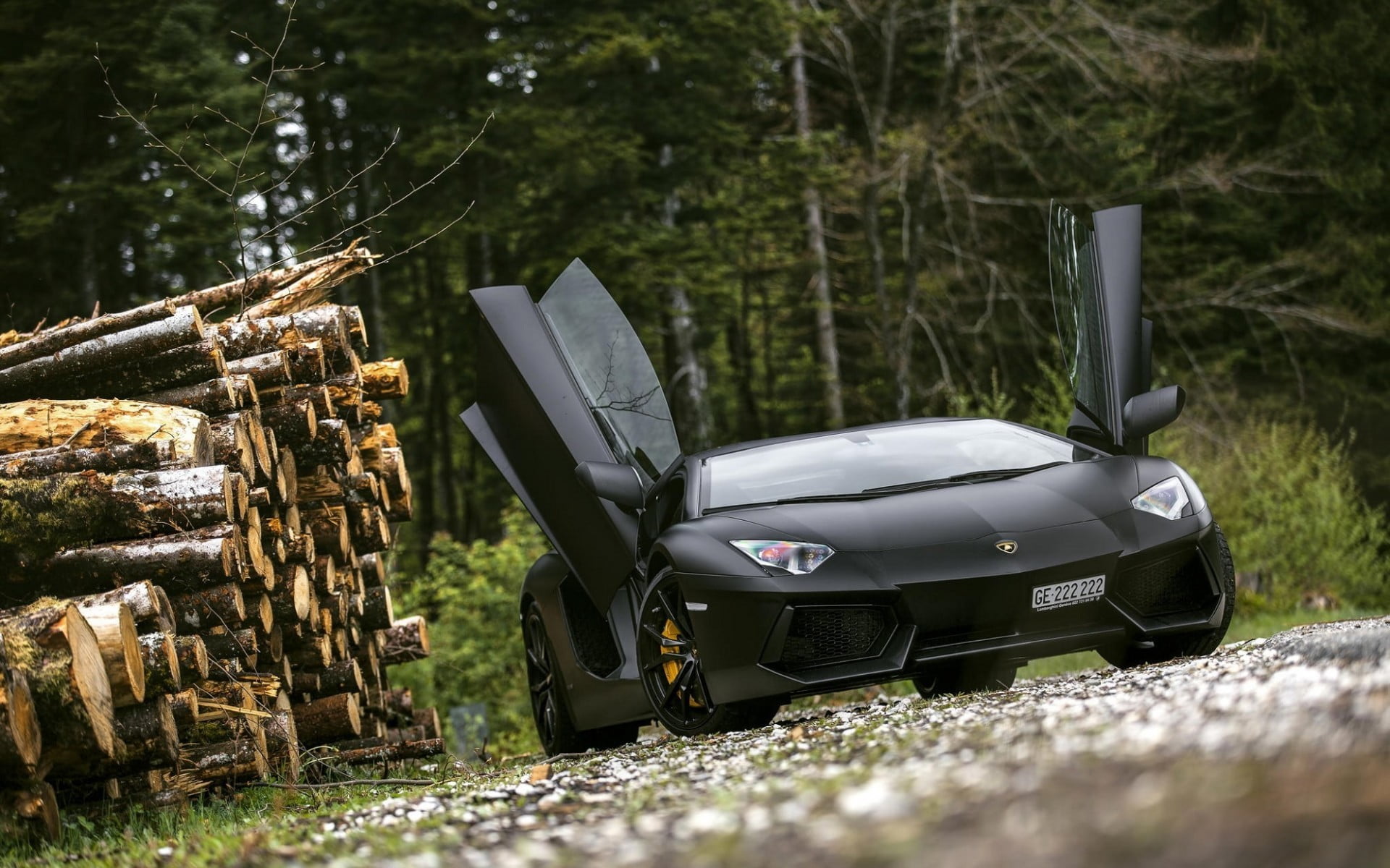 timber, log, land vehicle, car, Lamborghini, outdoors, nature, 1080P, wood, plant, black, tree, wood - material, day, transportation, grass, no people, HD Wallpaper