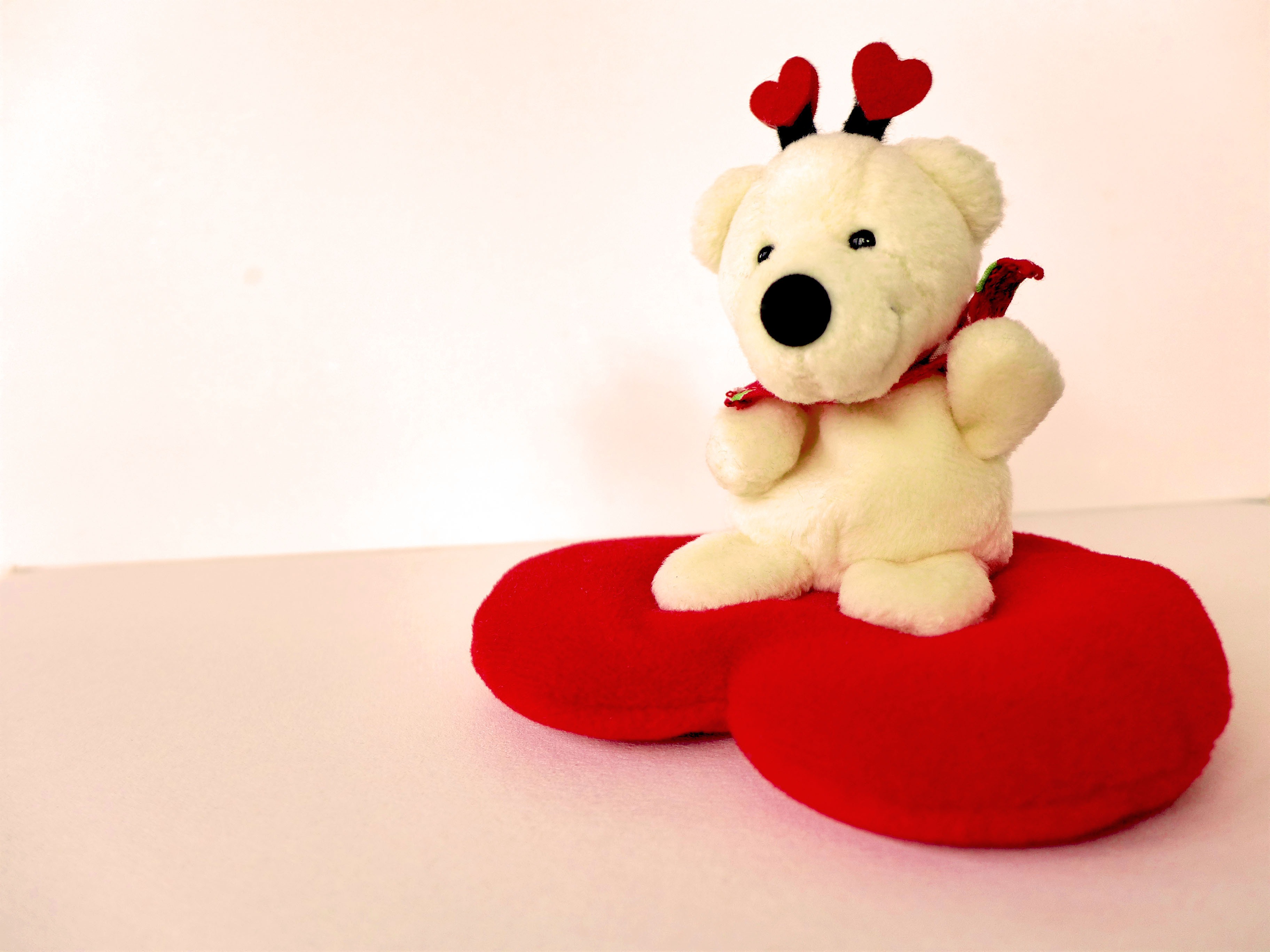 single object, mammal, close-up, art and craft, softness, still life, representation, romance, indoors, pillow, celebration, heart, toy, bear, love, animal representation, HD Wallpaper