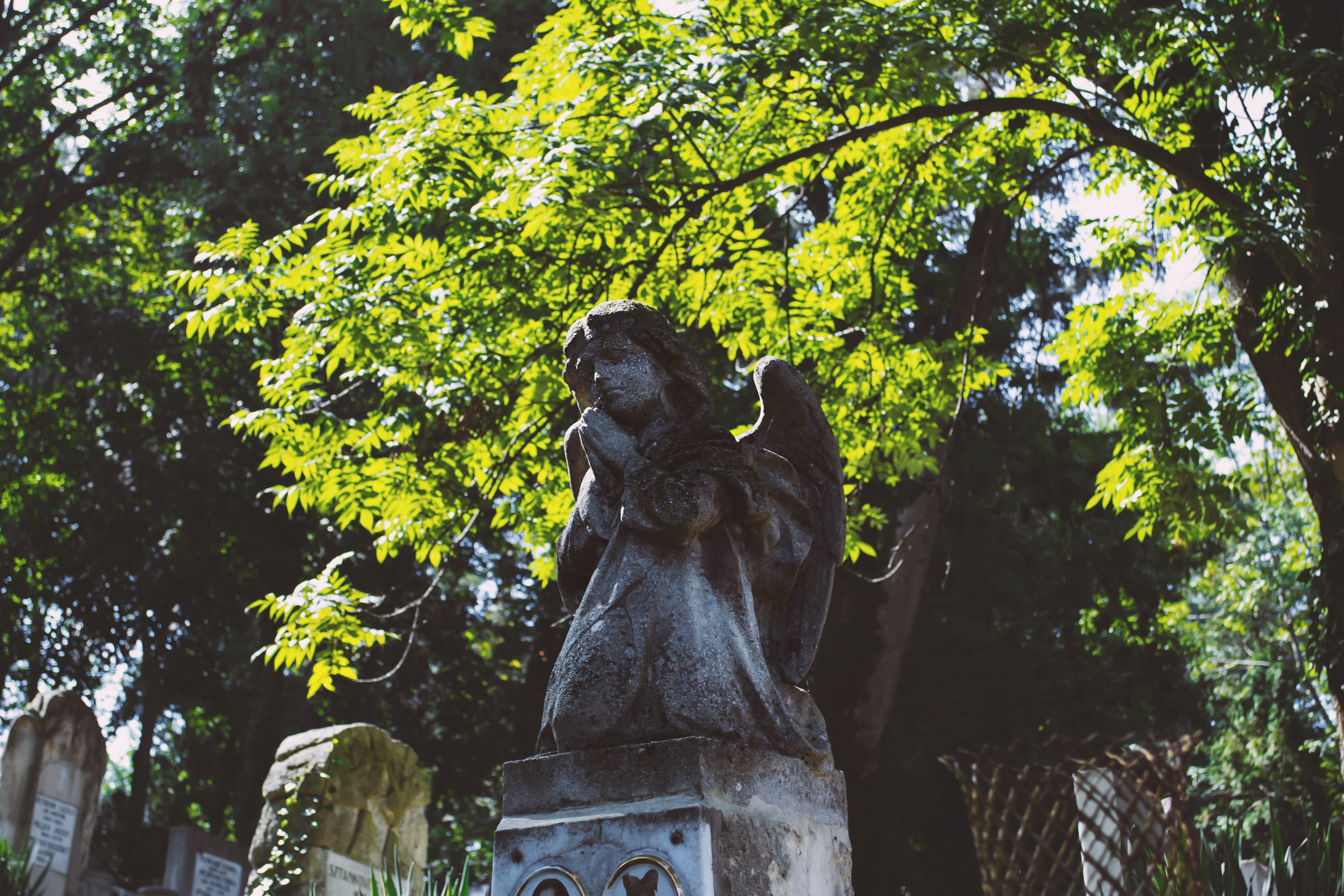 die, mammal, human representation, sculpture, architecture, 4K, city, child, cemetery, statue, tree, broken, no people, autumnal, nature, autumn, dead, HD Wallpaper