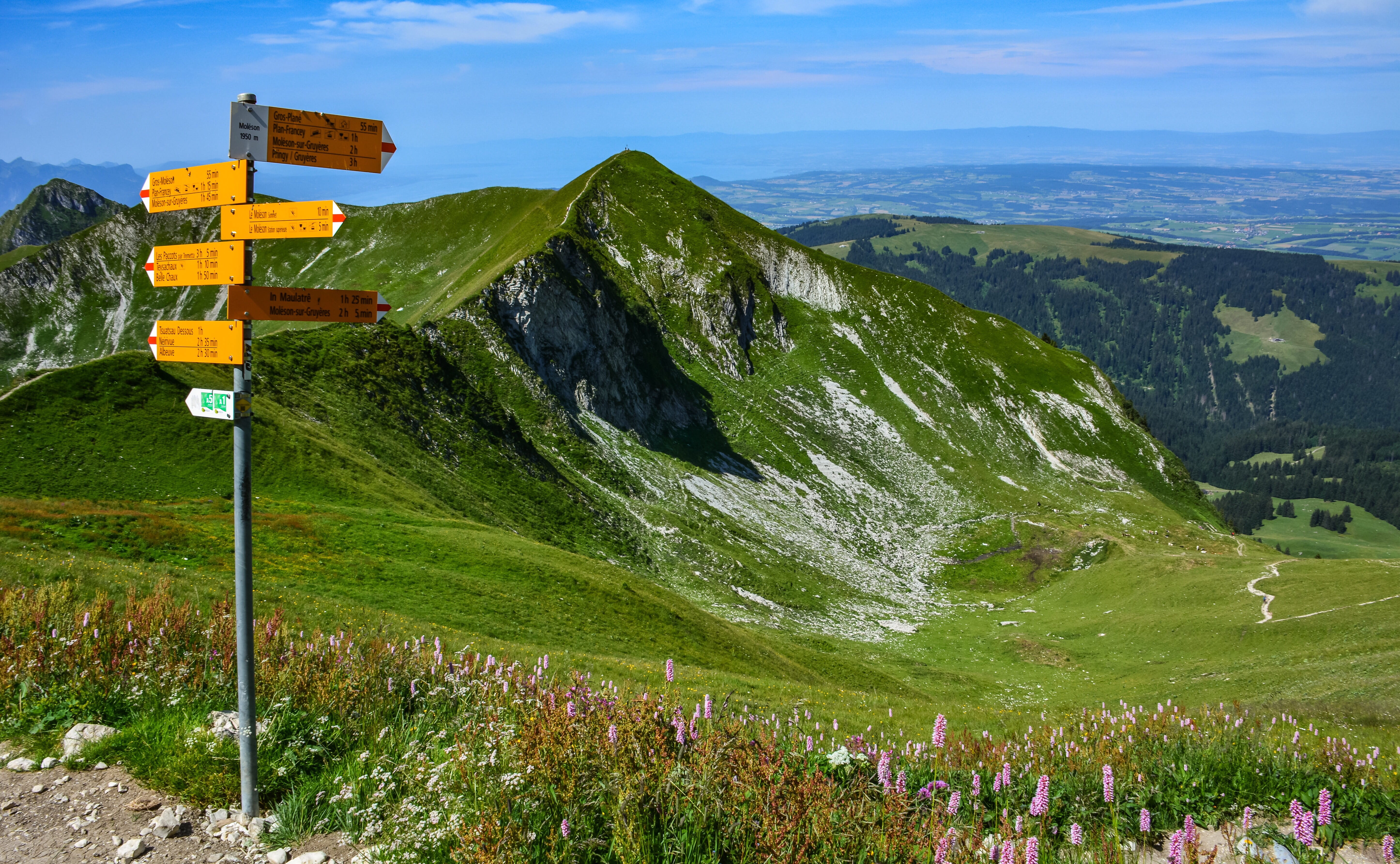 road, scenics - nature, pedestrian path, nature, no people, summer, sign, tranquil scene, beauty in nature, 5K, fribourg, day, grass, gruyère, road sign, HD Wallpaper