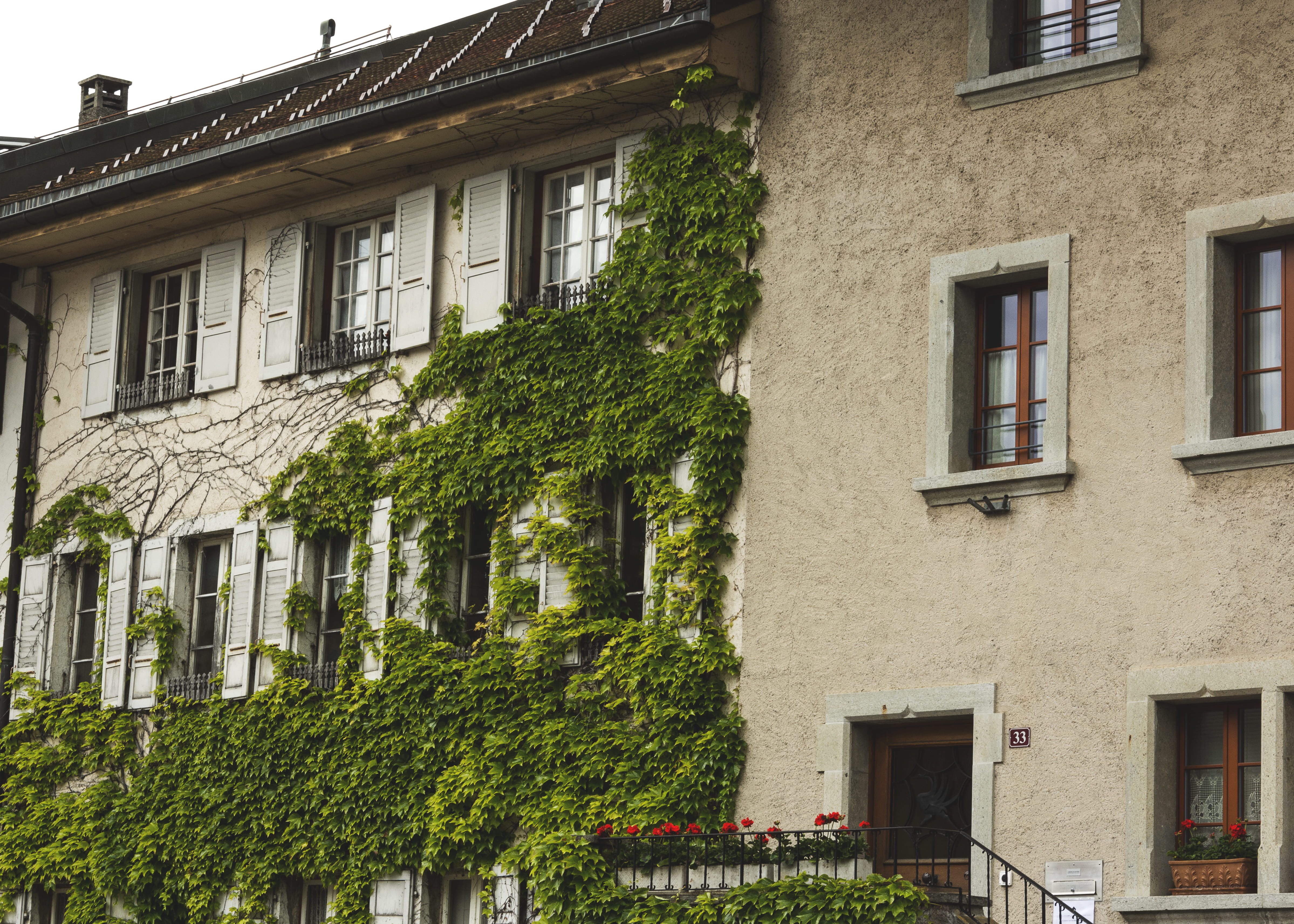 old, building exterior, switzerland, gruyères, nature, ivy, architecture, building, outdoors, creeper plant, green color, 4K, city, window, low angle view, HD Wallpaper