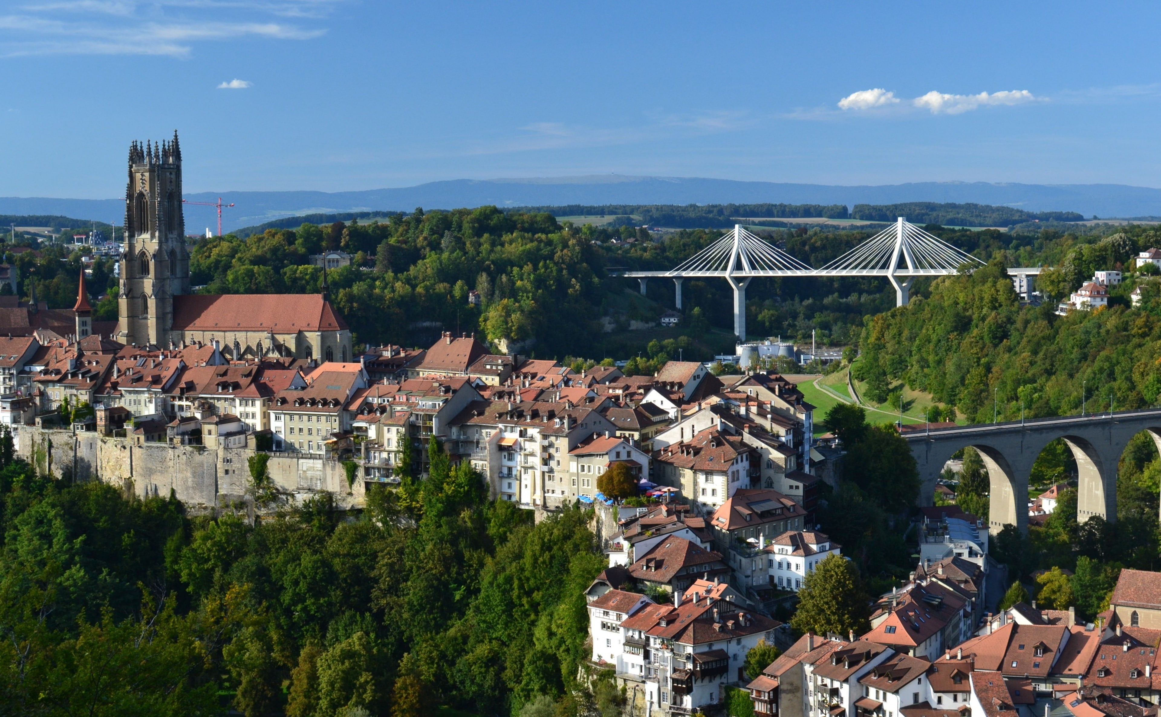 tree, day, nature, architecture, no people, 4K, arch bridge, connection, building exterior, townscape, Switzerland, high angle view, residential district, HD Wallpaper