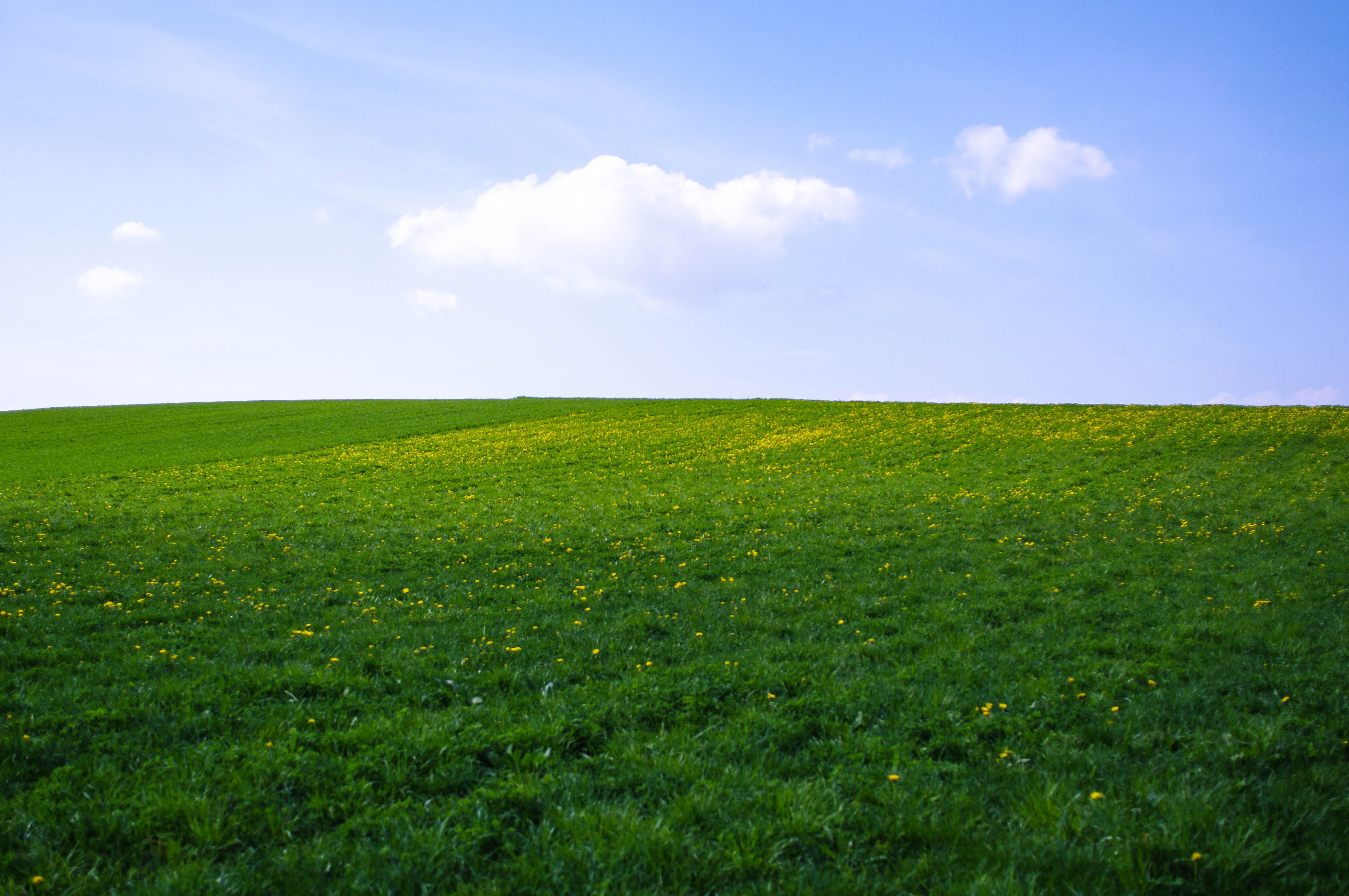 land, springtime, sun, green, environment, scenics - nature, nature, landscape, beauty in nature, rural scene, field, neuchâtel, horizon over land, switzerland, HD Wallpaper