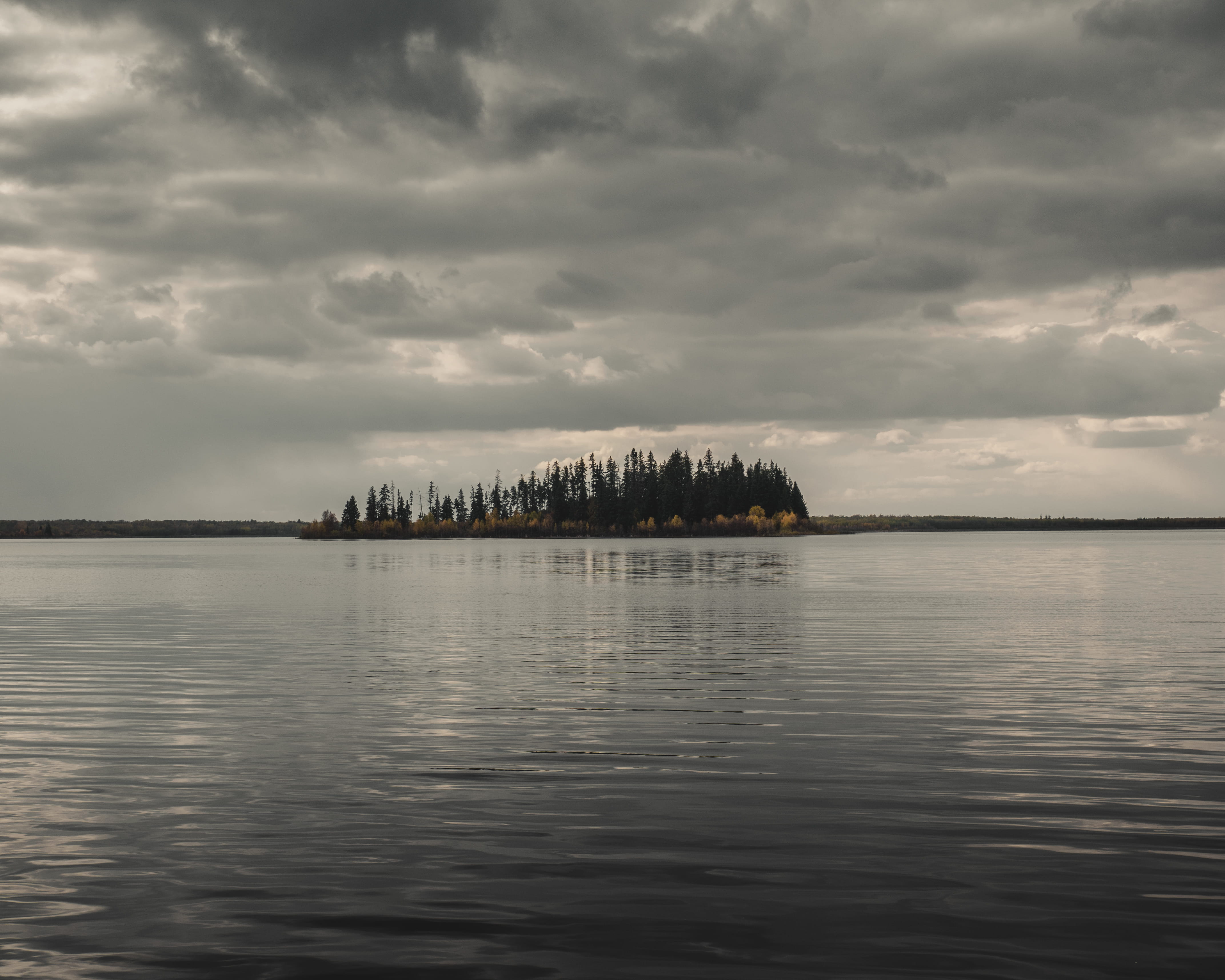 overcast, nature, forest, parks, arbres, trees, automn, elk island, waterfront, forêt, beauty in nature, water, dark, sea, outdoors, cloud - sky, lake, HD Wallpaper