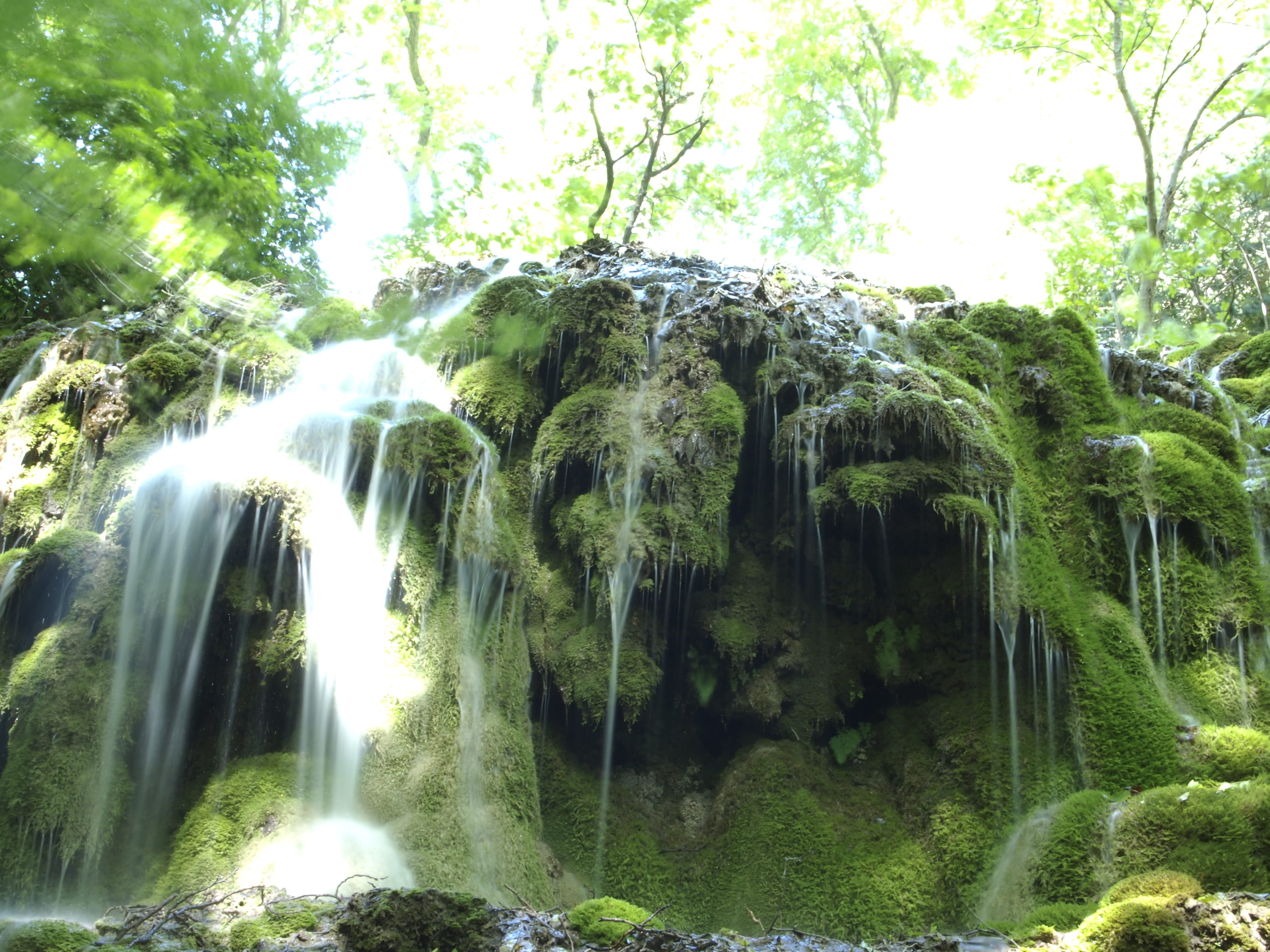 rainforest, flowing, green color, outdoors, tranquility, solid, france, nature, scenics - nature, lichen, falling water, blur, 4K, rock - object, growth, HD Wallpaper