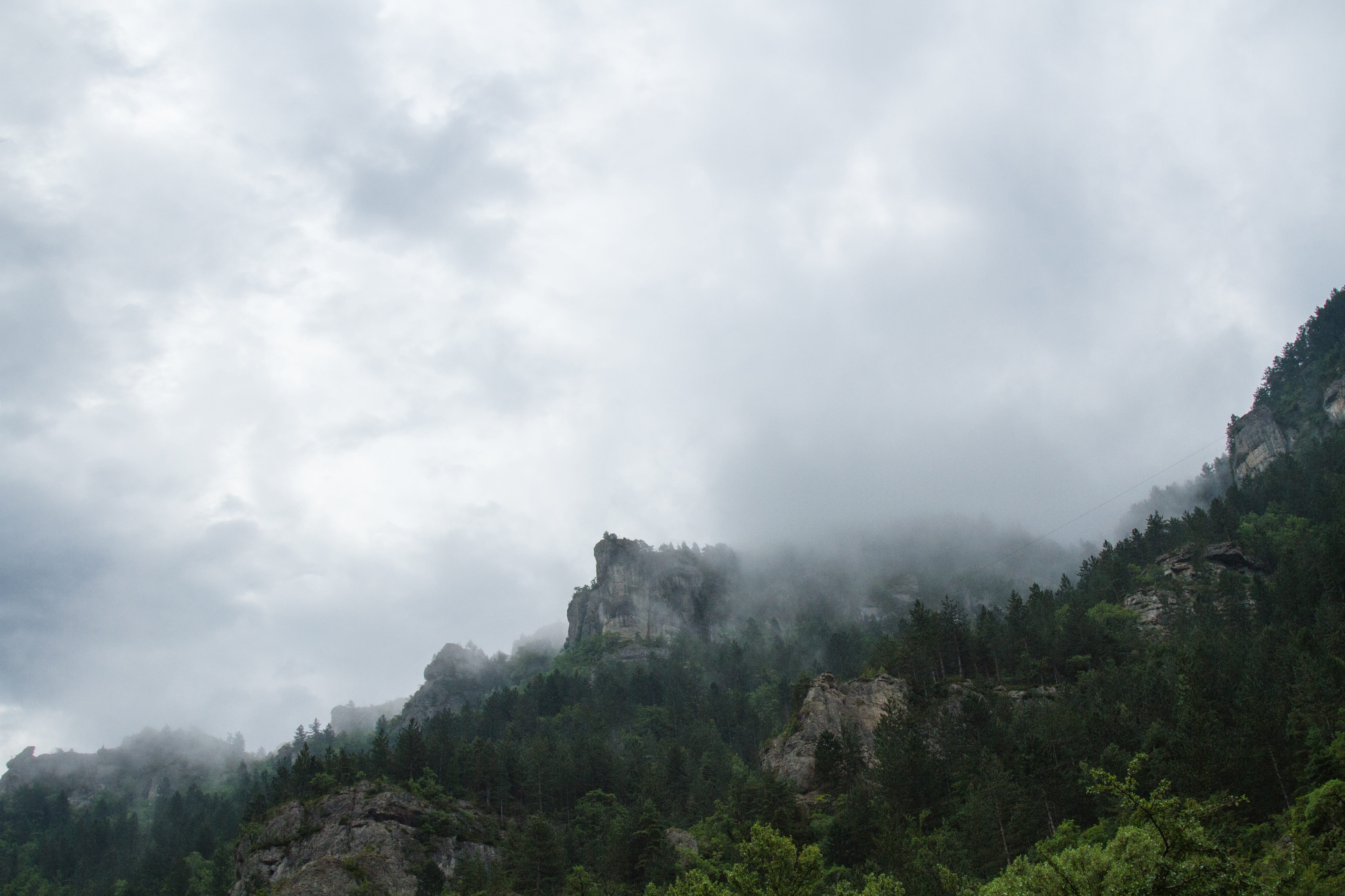 forest, montain, mountain, environment, forêt, canyon, covered, cloud, nature, frozen, fog, tranquil scene, foggy, rock, summer, cloudy, tree, green, grass, HD Wallpaper