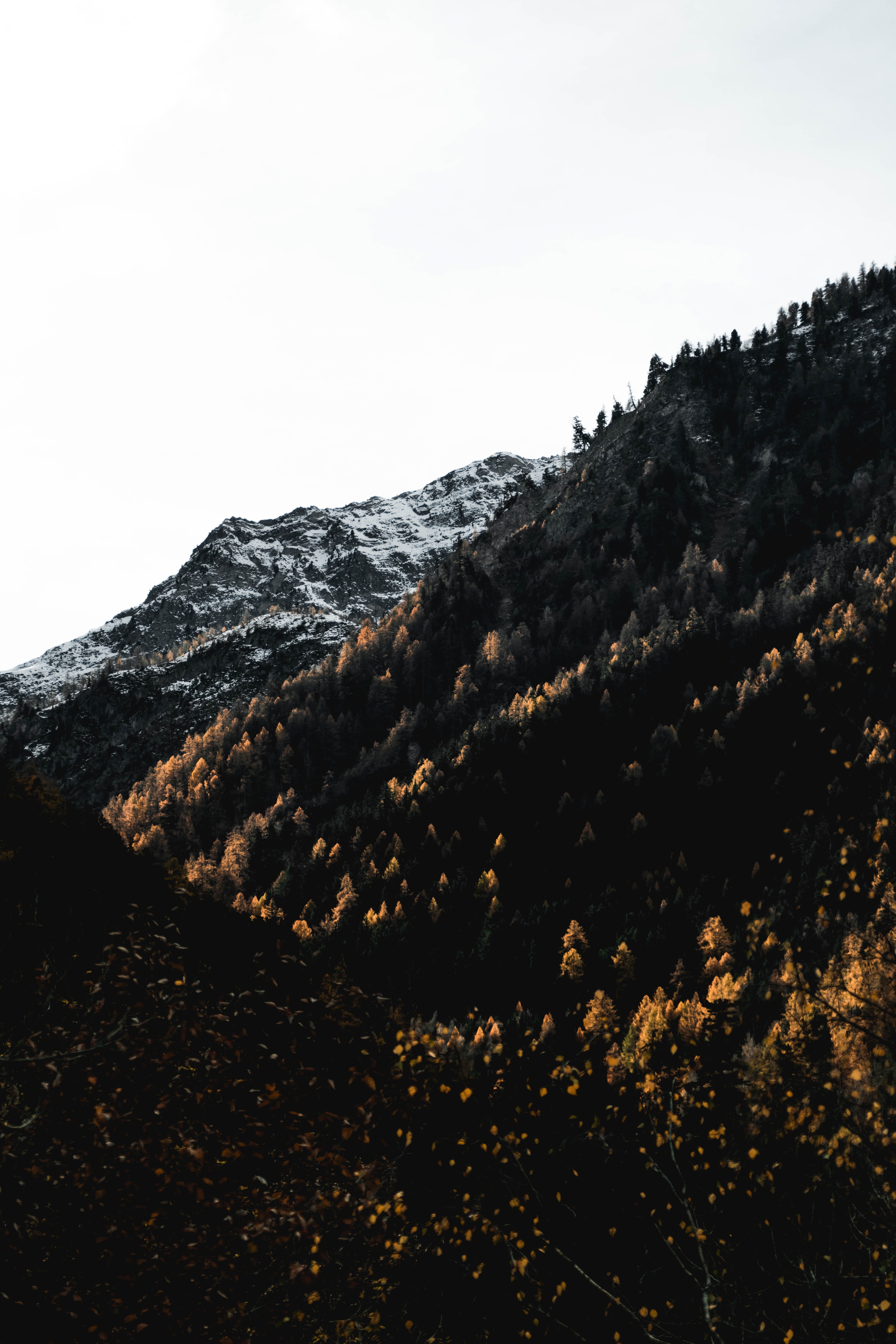 slope, peak, beauty in nature, copy space, forest, scenics - nature, tranquil scene, tree, 5K, hill, leuk, non-urban scene, clear sky, landscape, hiking, Phone HD Wallpaper