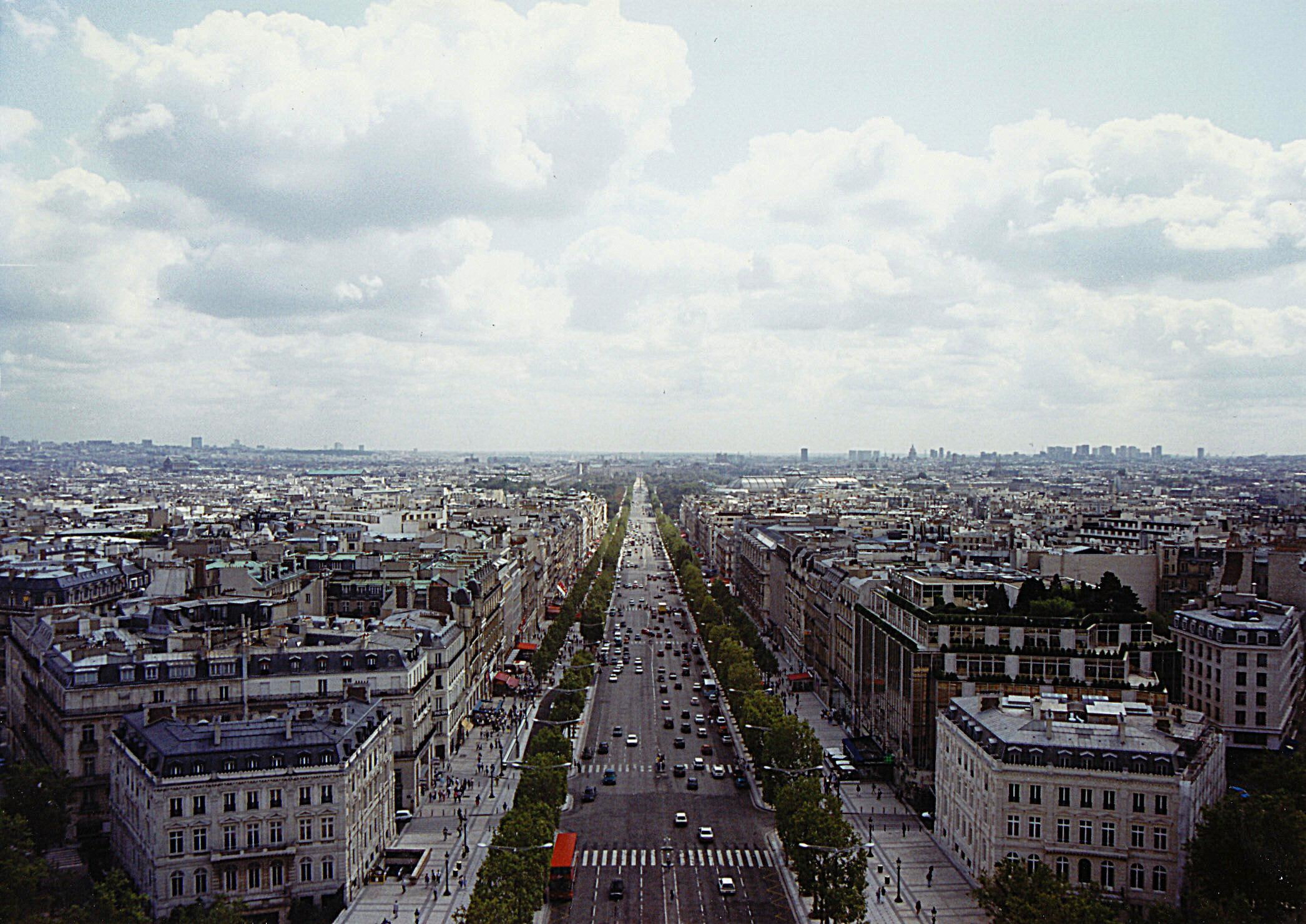europe, animals, champs, france, champs elysees, 1080P, paris, elysees, HD Wallpaper