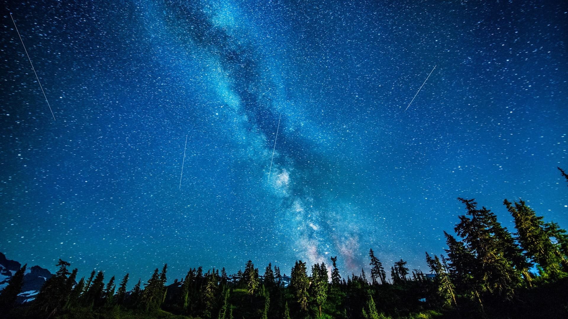 forest, 1080P, stars, blue, space, blue sky, sky, HD Wallpaper
